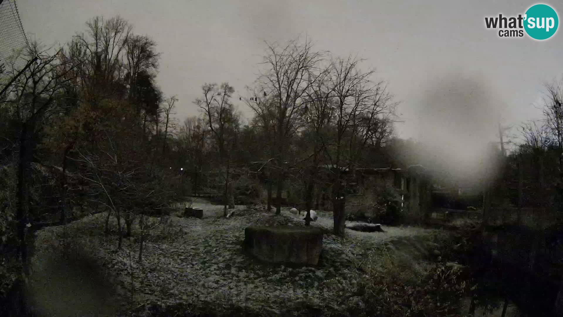 Zoo Zagreb – Löwen