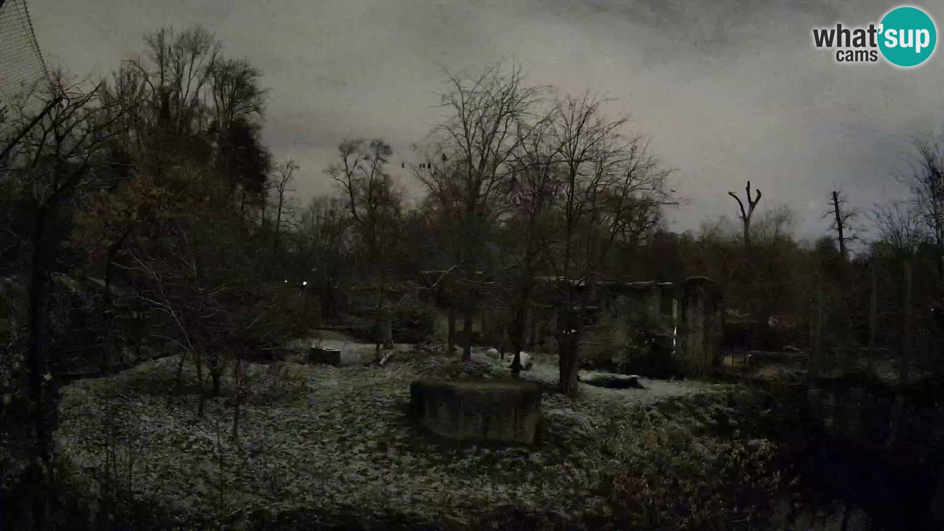 Zoo Zagreb – Leoni