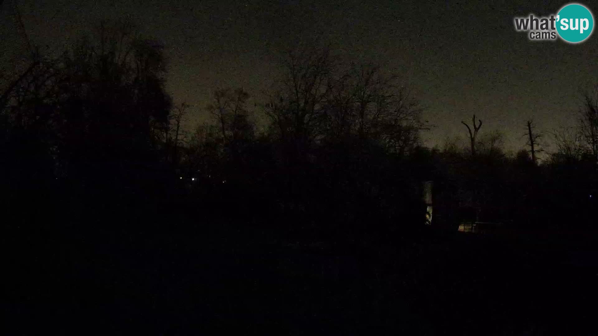 Zoo Zagreb – Löwen