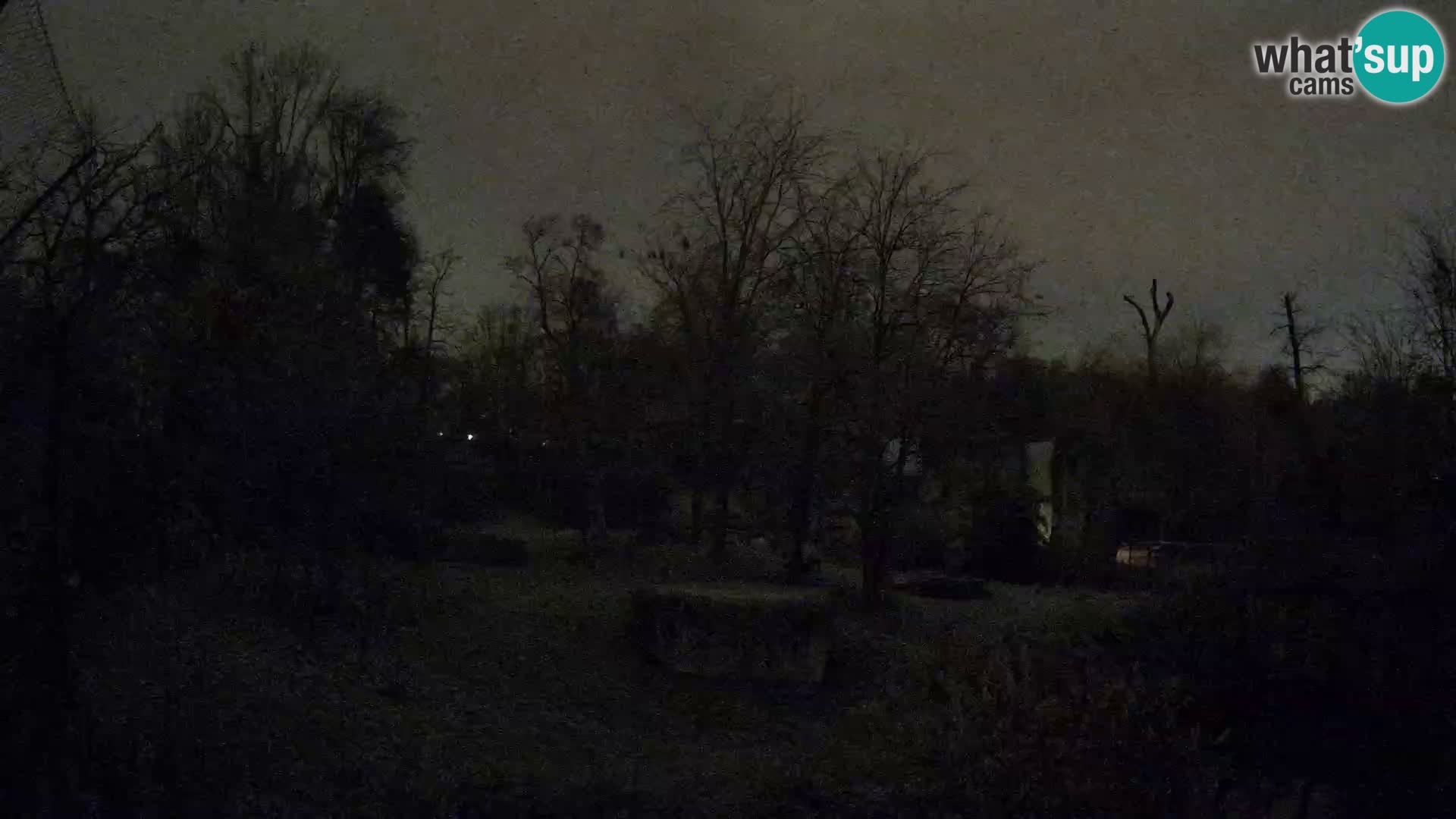 Zoo Zagreb – Löwen