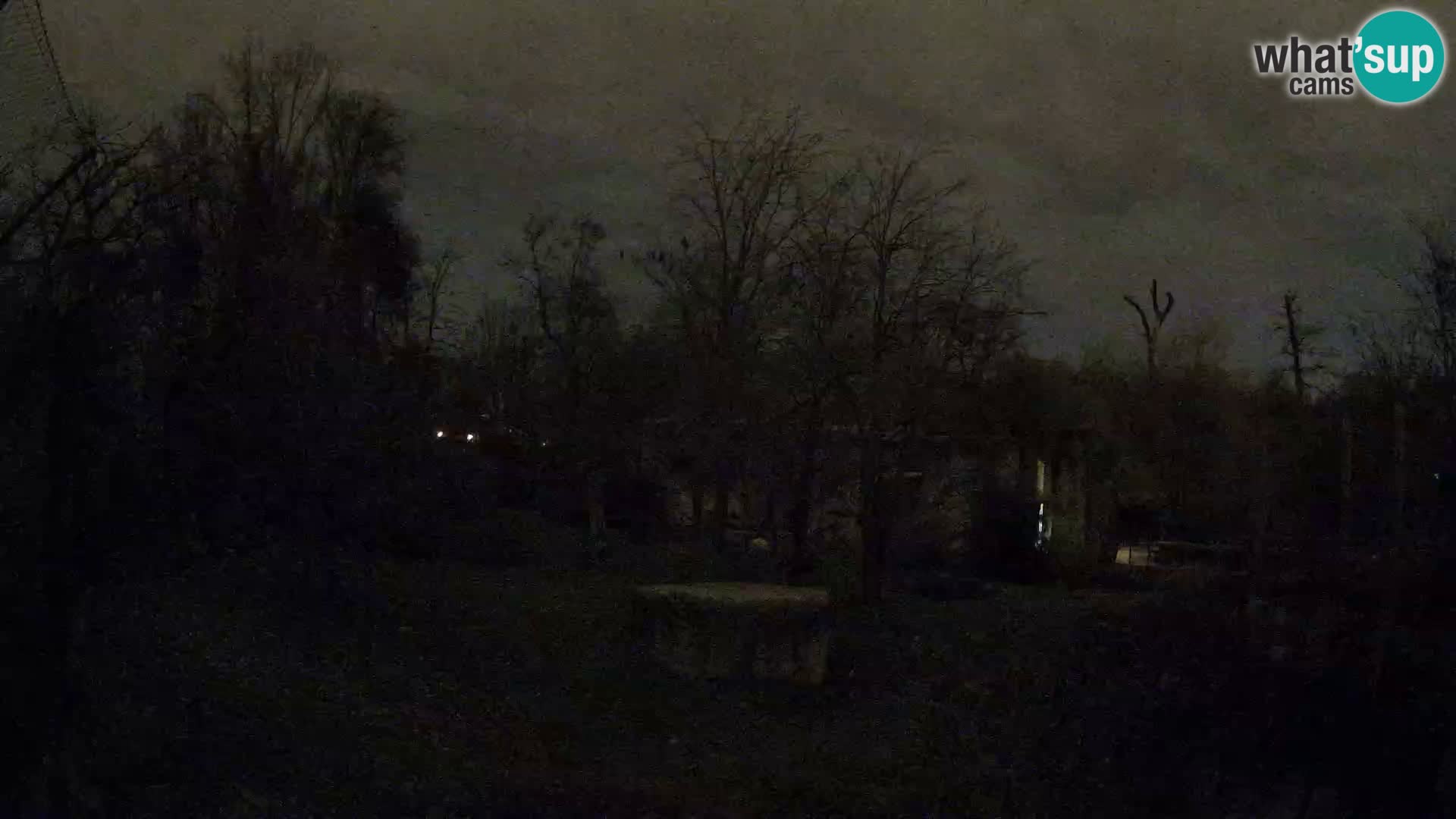 Zoo Zagreb – Lavovi