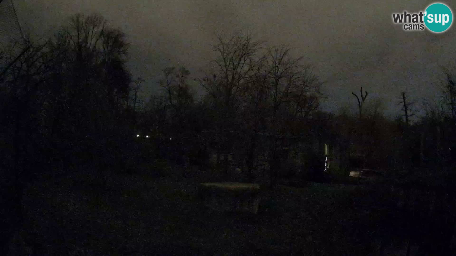 Zoo Zagreb – Lavovi