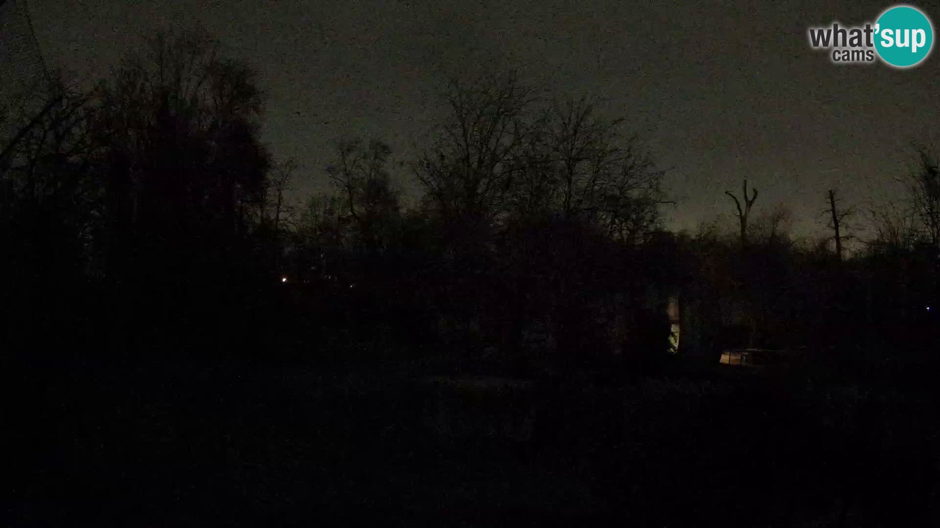 Zoo Zagreb – Lavovi