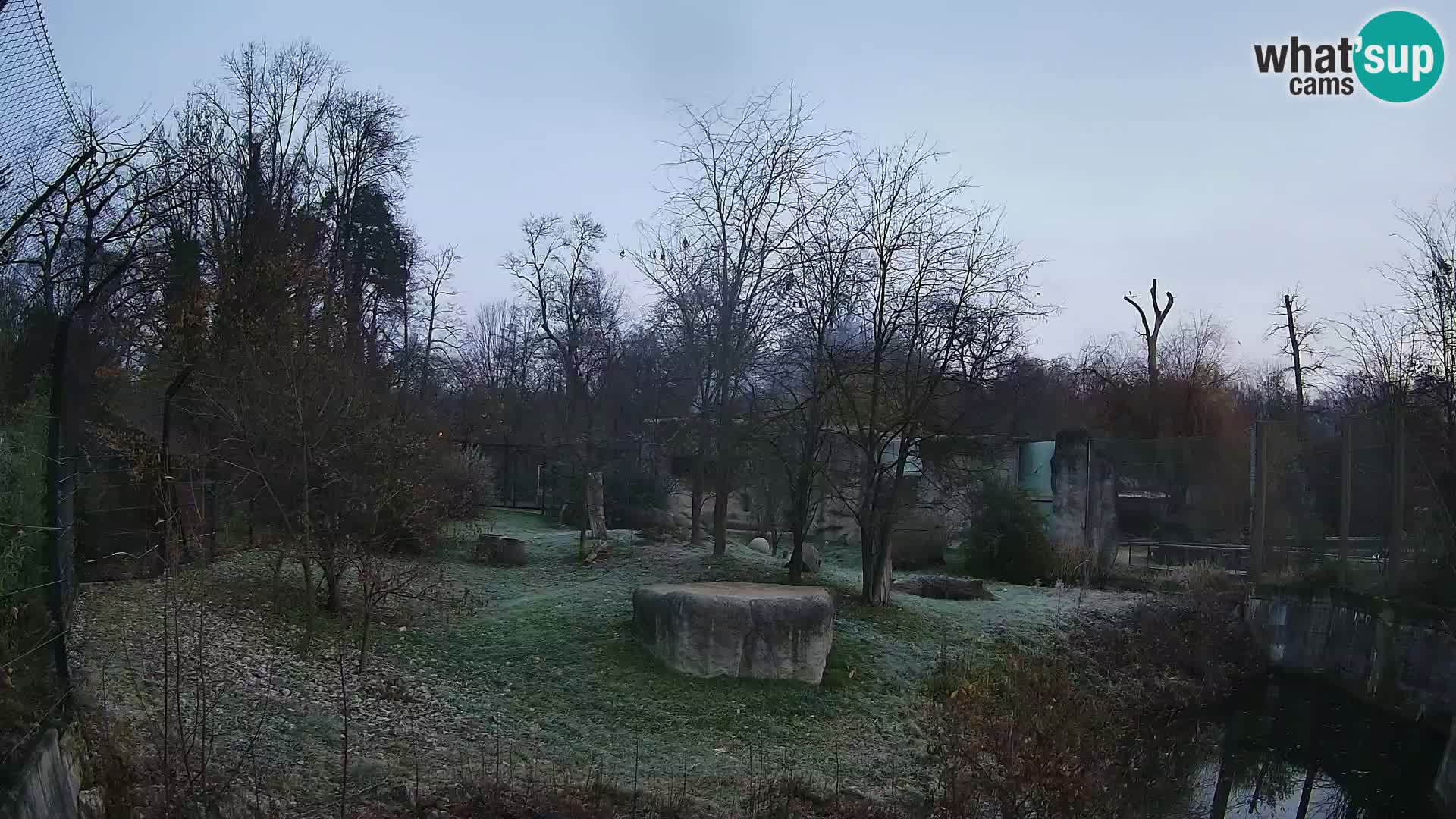 Zoo Zagreb – Lavovi