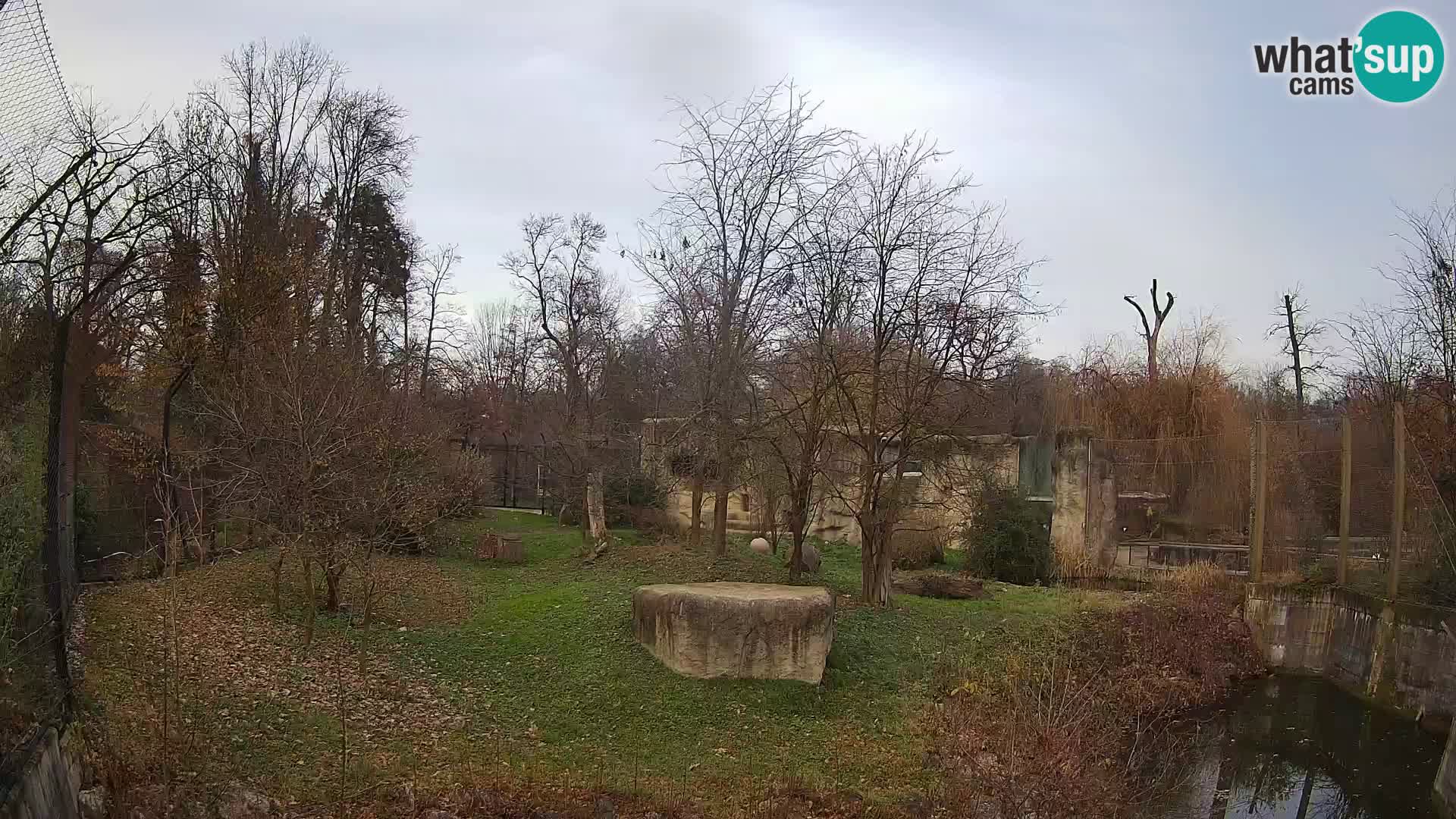 Zoo Zagreb – Leoni