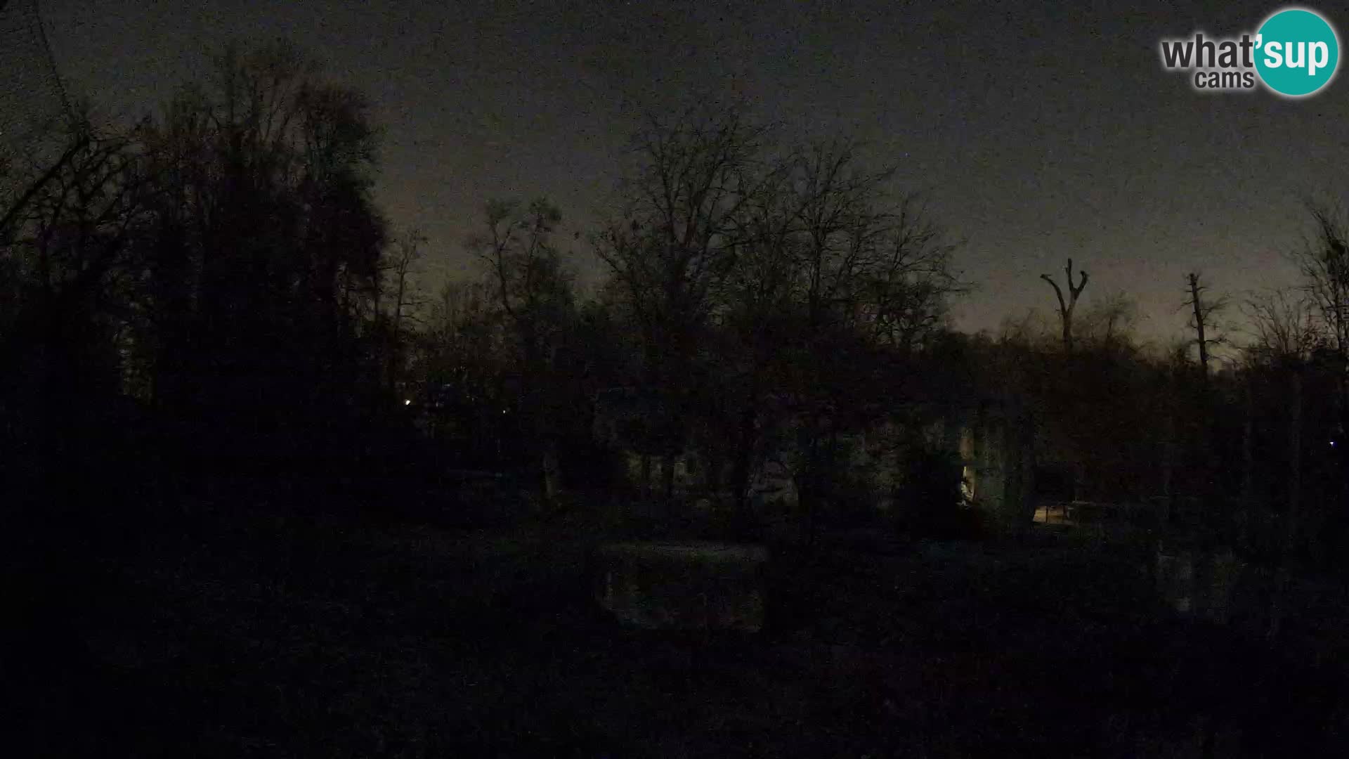 Zoo Zagreb – Leones