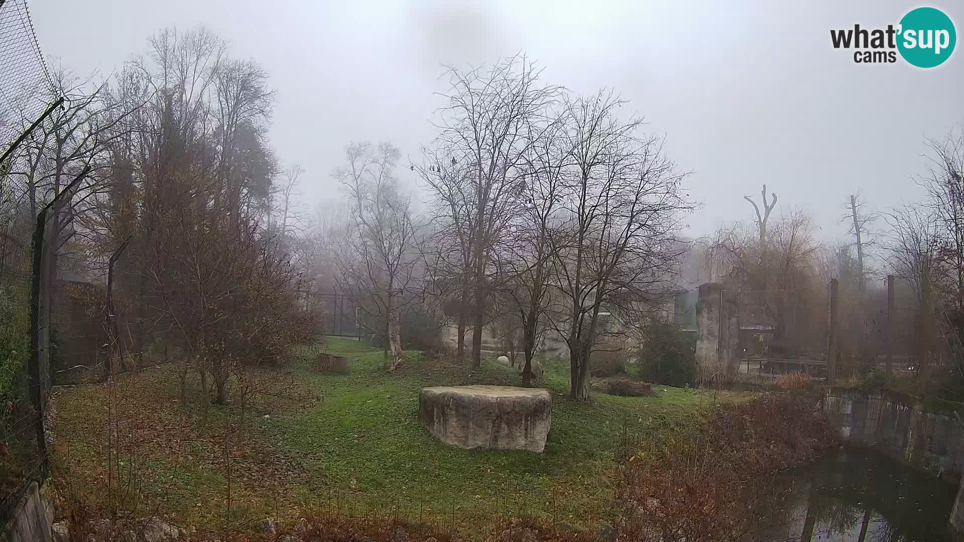 Zoo Zagreb – Leones