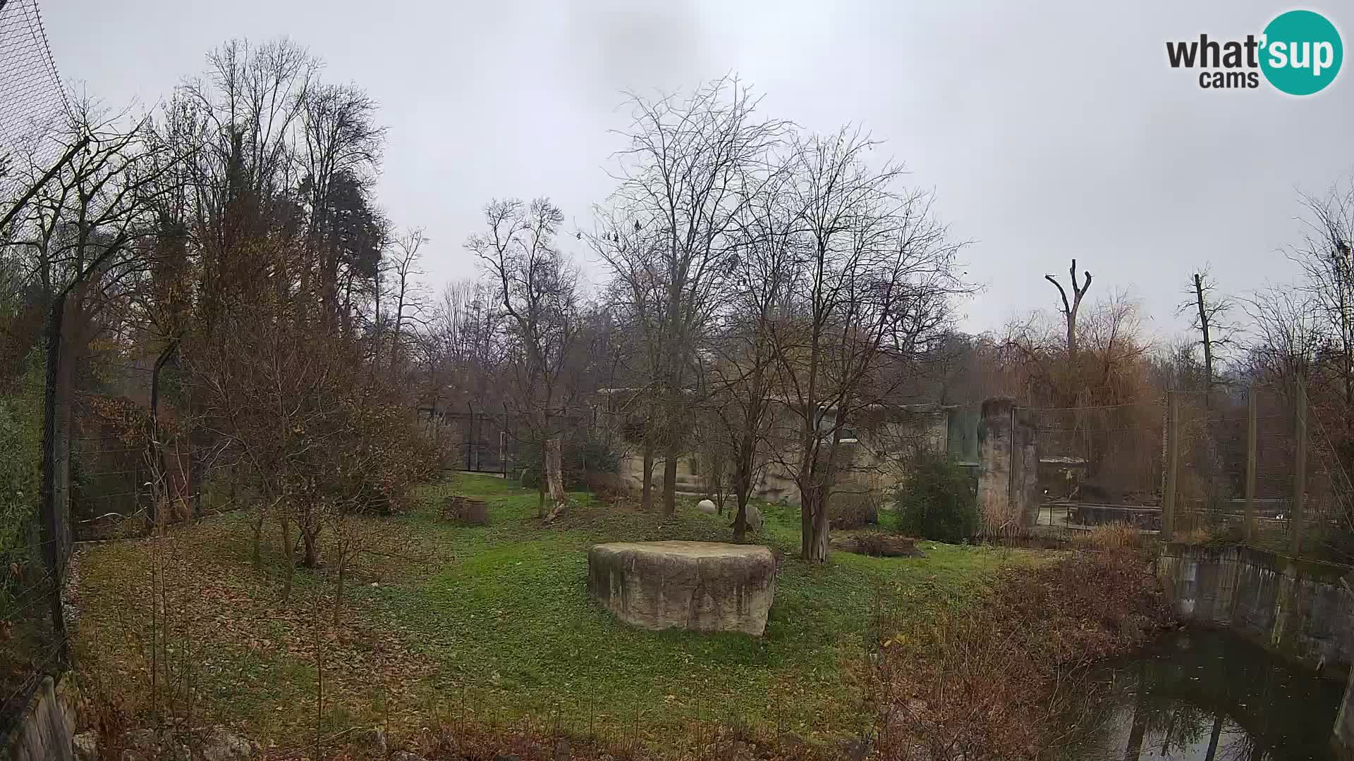 Zoo Zagreb – Löwen