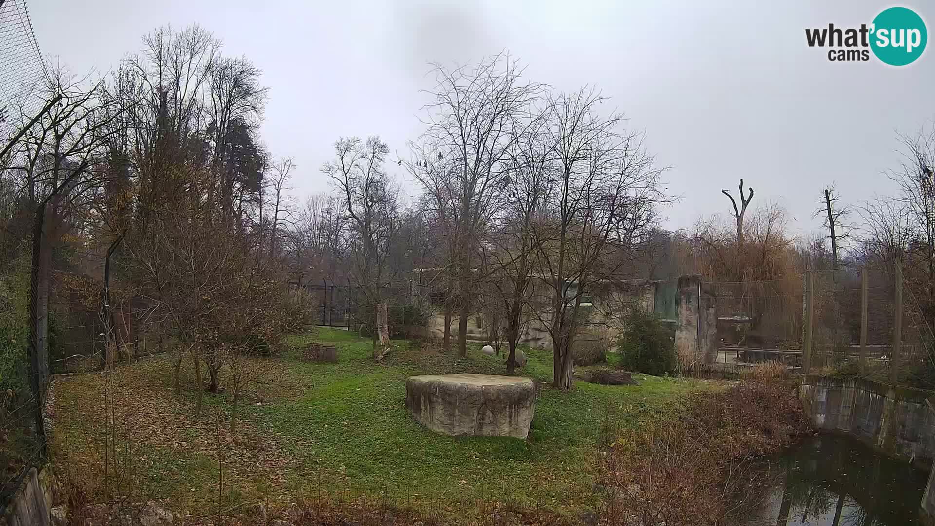 Zoo Zagreb – Löwen