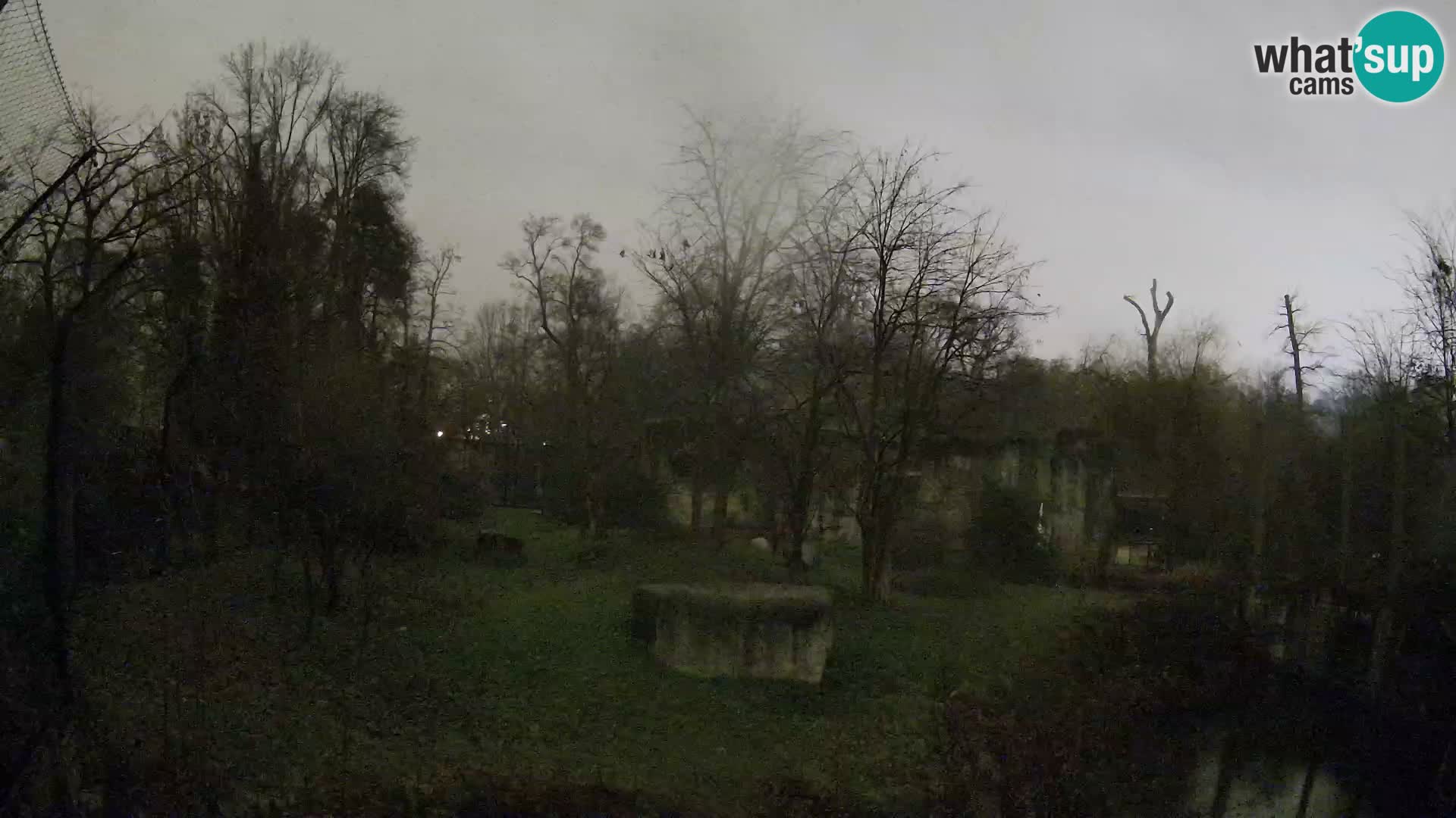 Zoo Zagreb – Leones