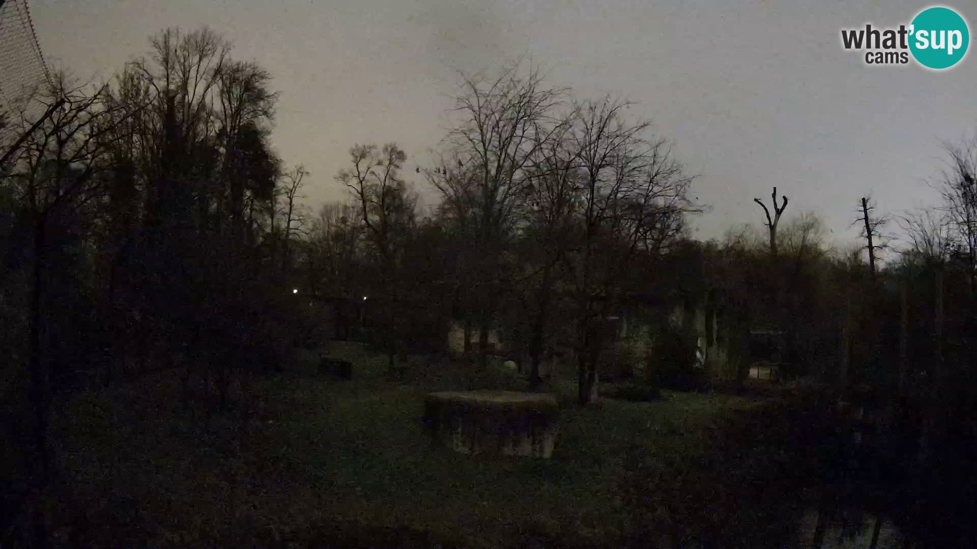 Zoo Zagreb – Leones