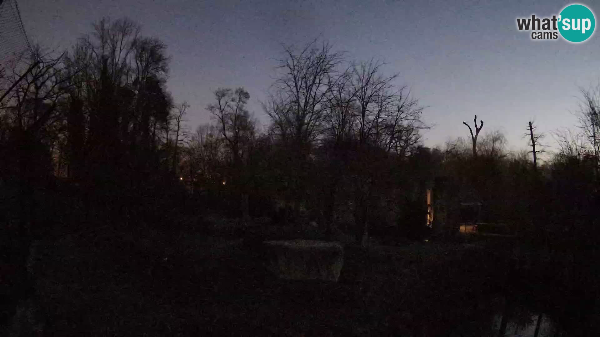 Zoo Zagreb – Löwen