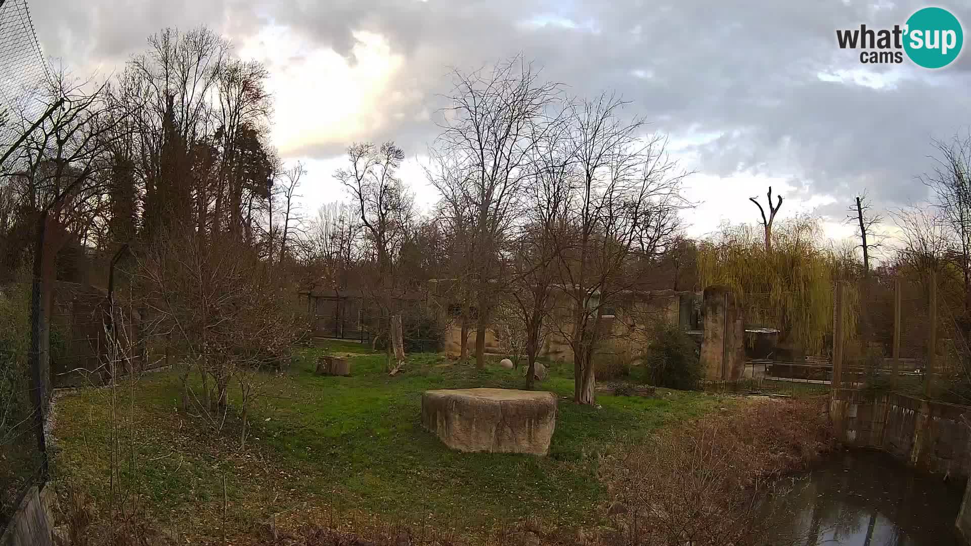 Spletna kamera Zoo Zagreb – Levi