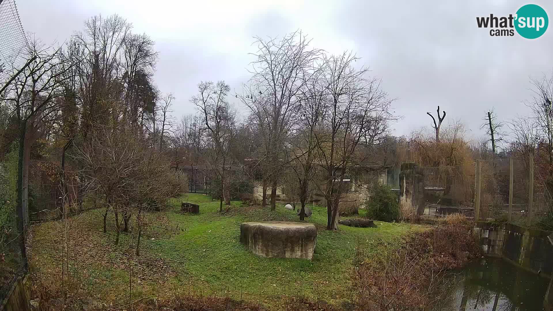 Zoo Zagreb – Löwen