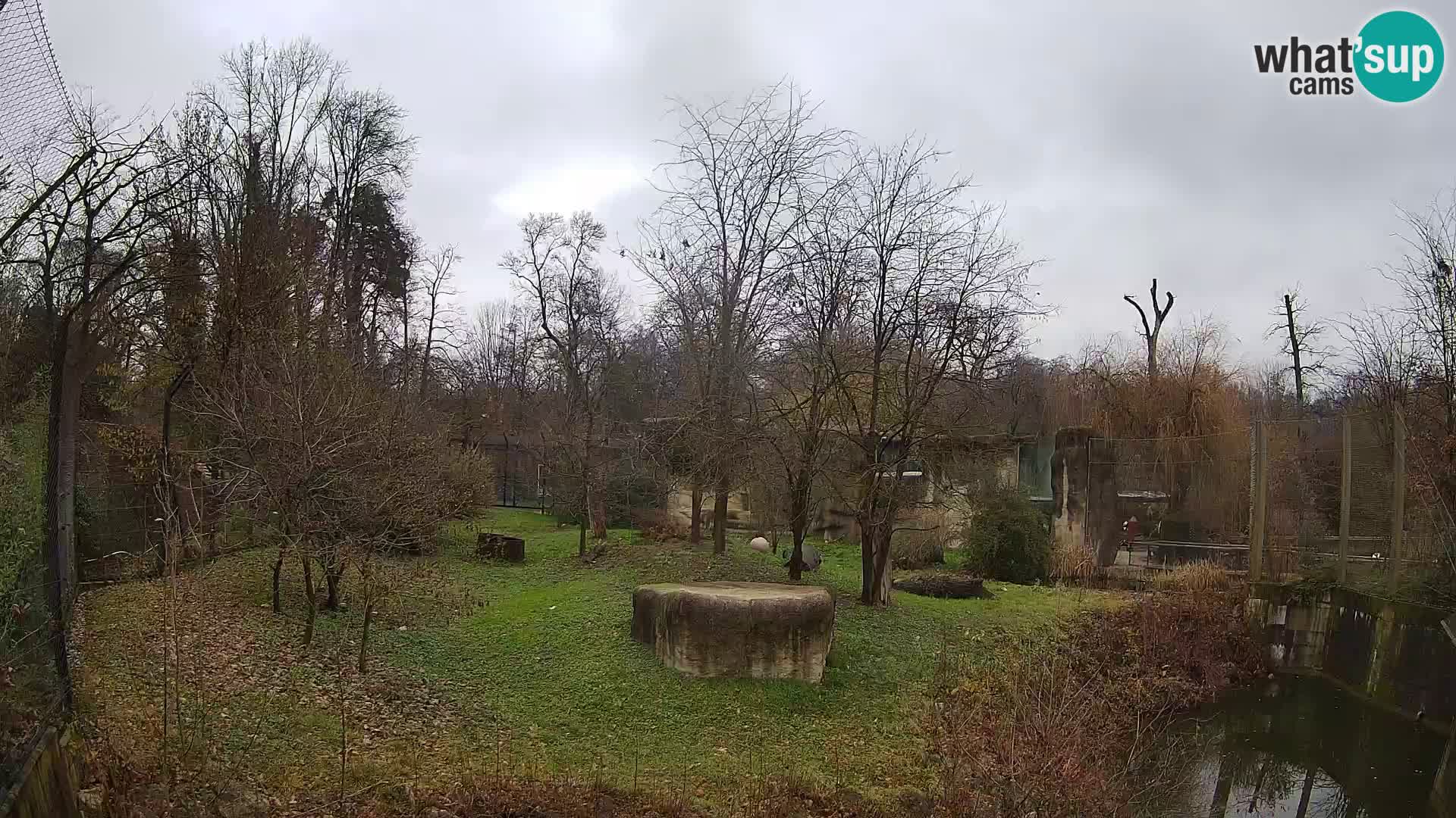 Zoo Zagreb – Löwen