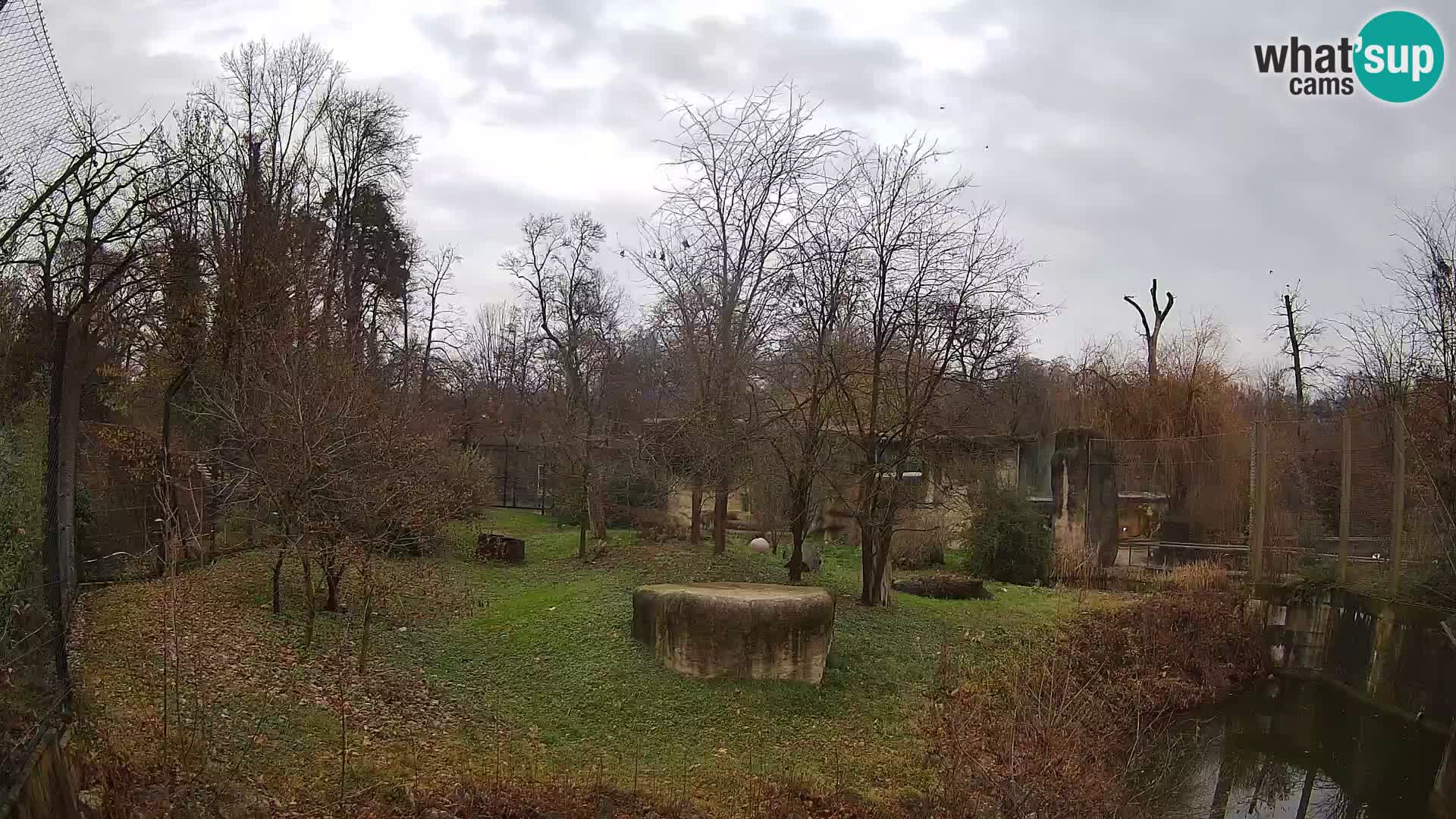 Zoo Zagreb – Löwen