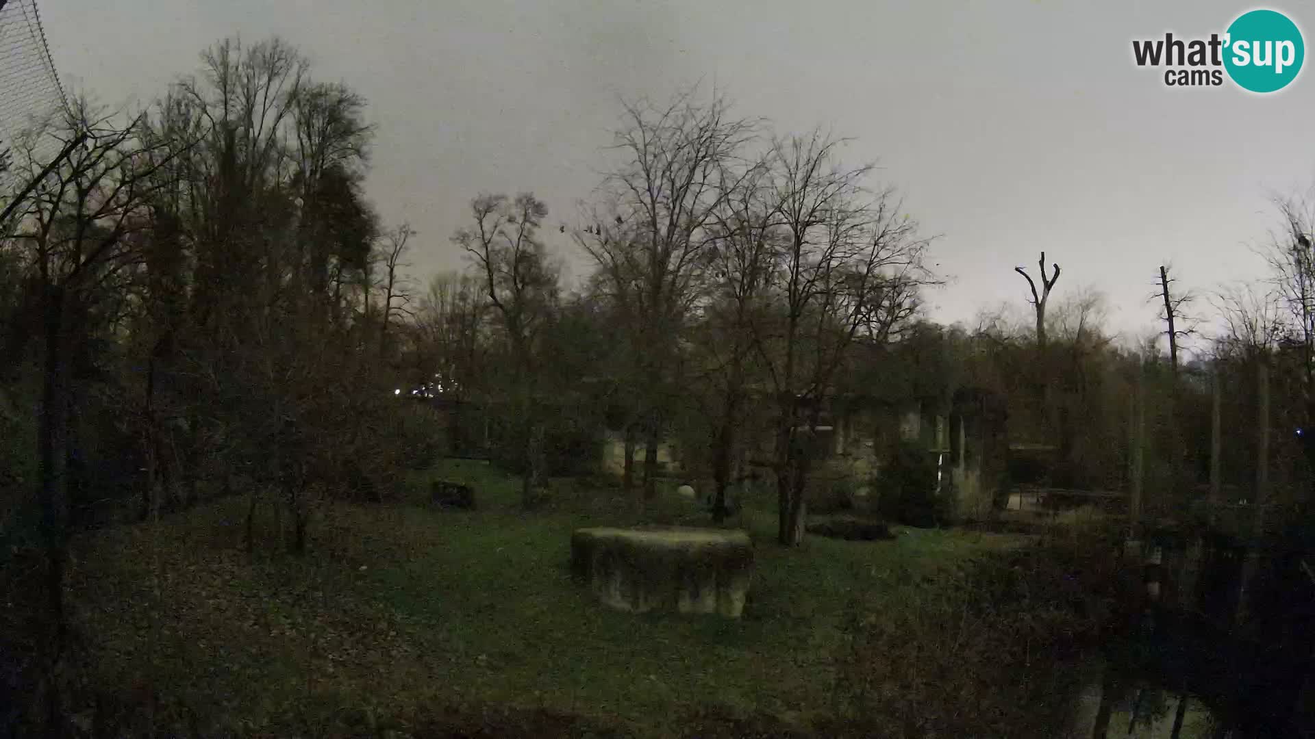 Spletna kamera Zoo Zagreb – Levi