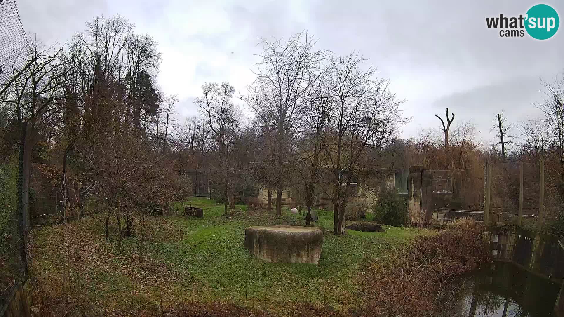 Zoo Zagreb – Leoni