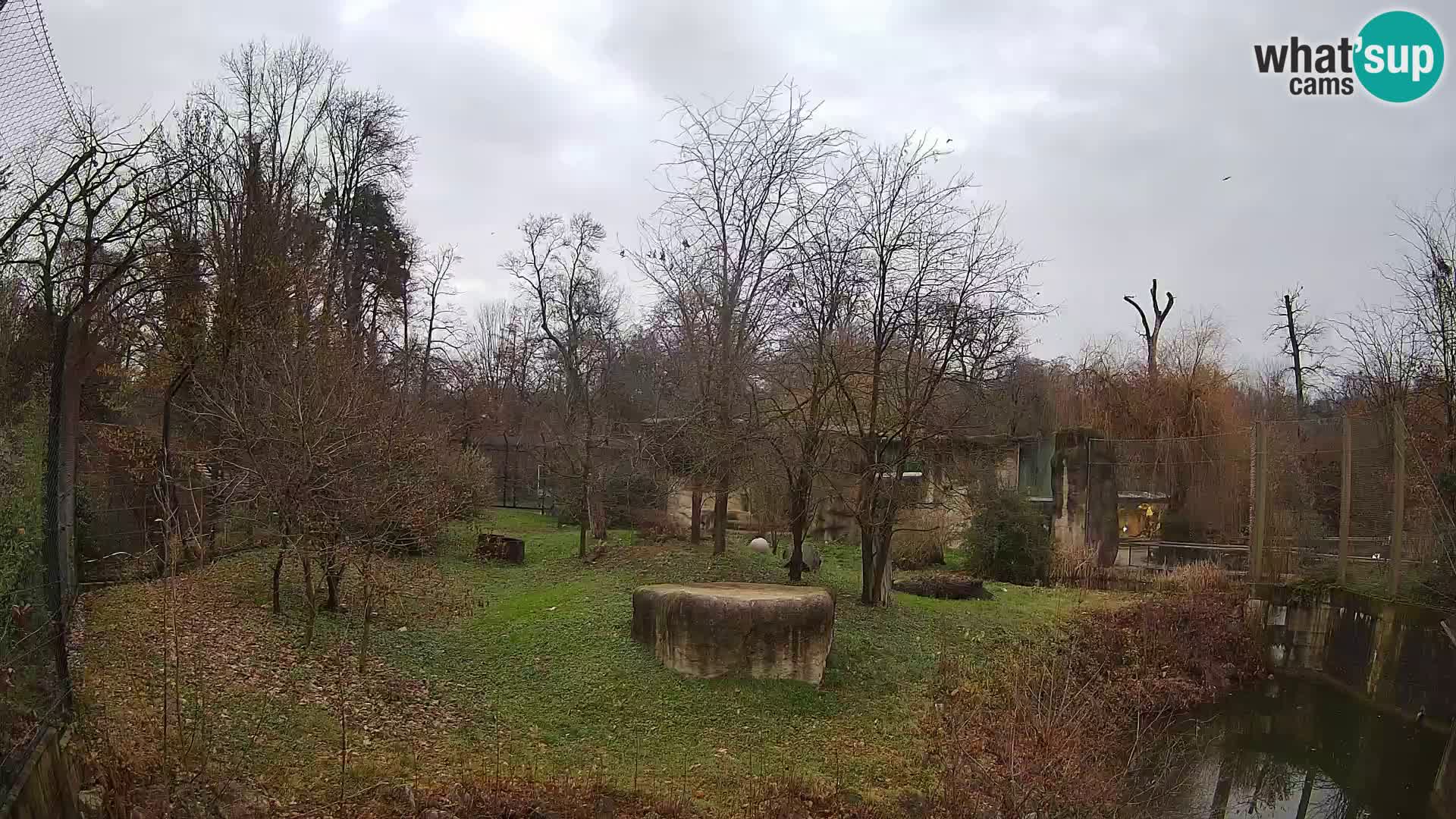 Zoo Zagreb – Leones