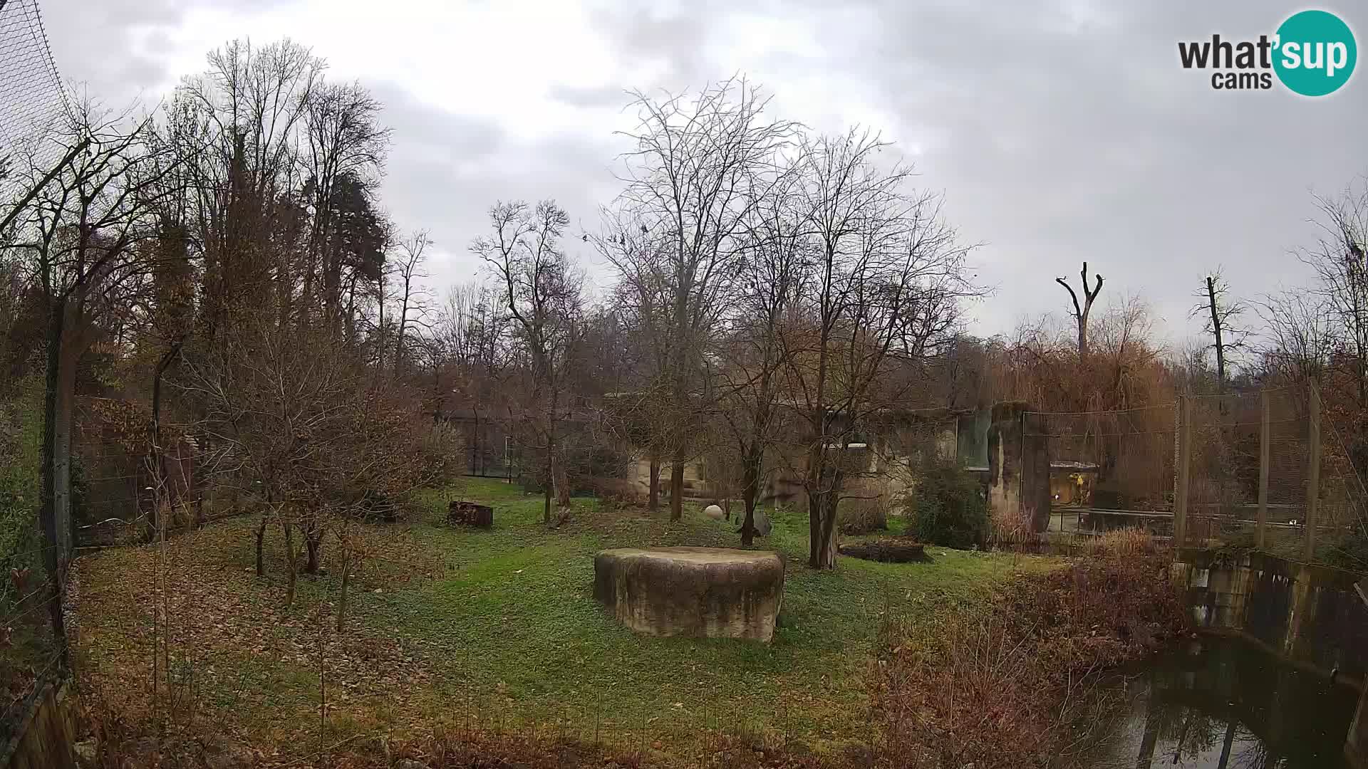 Zoo Zagreb – Leones