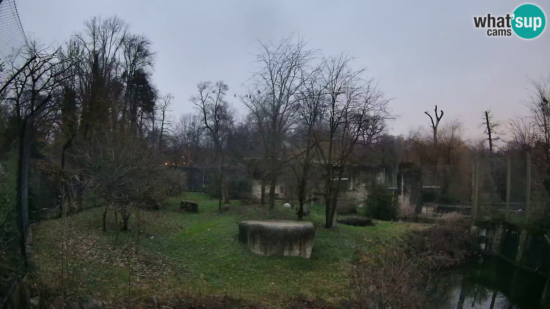 Zoo Zagreb – Leoni