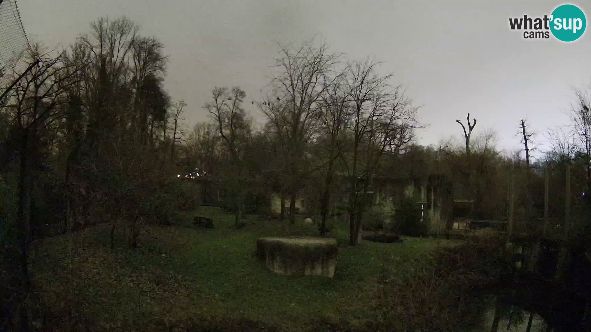 Zoo Zagreb – Leones