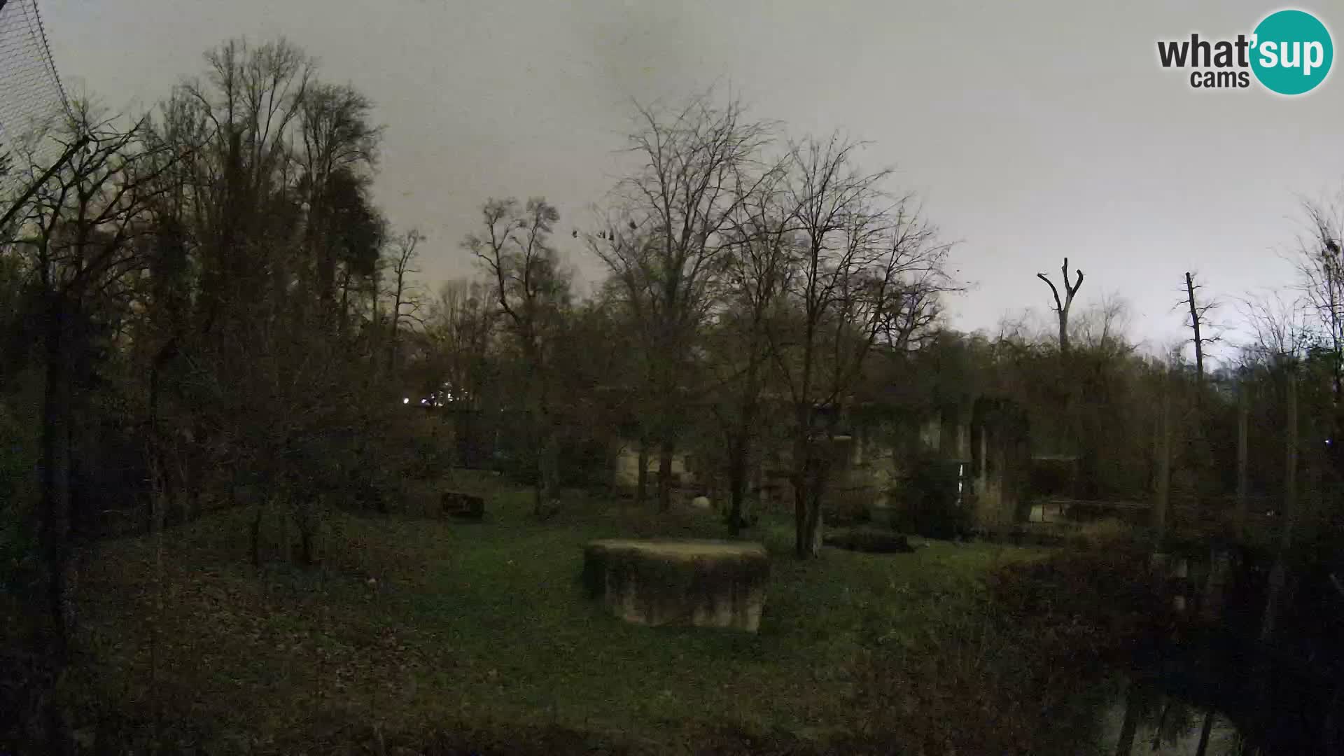 Zoo Zagreb – Leones