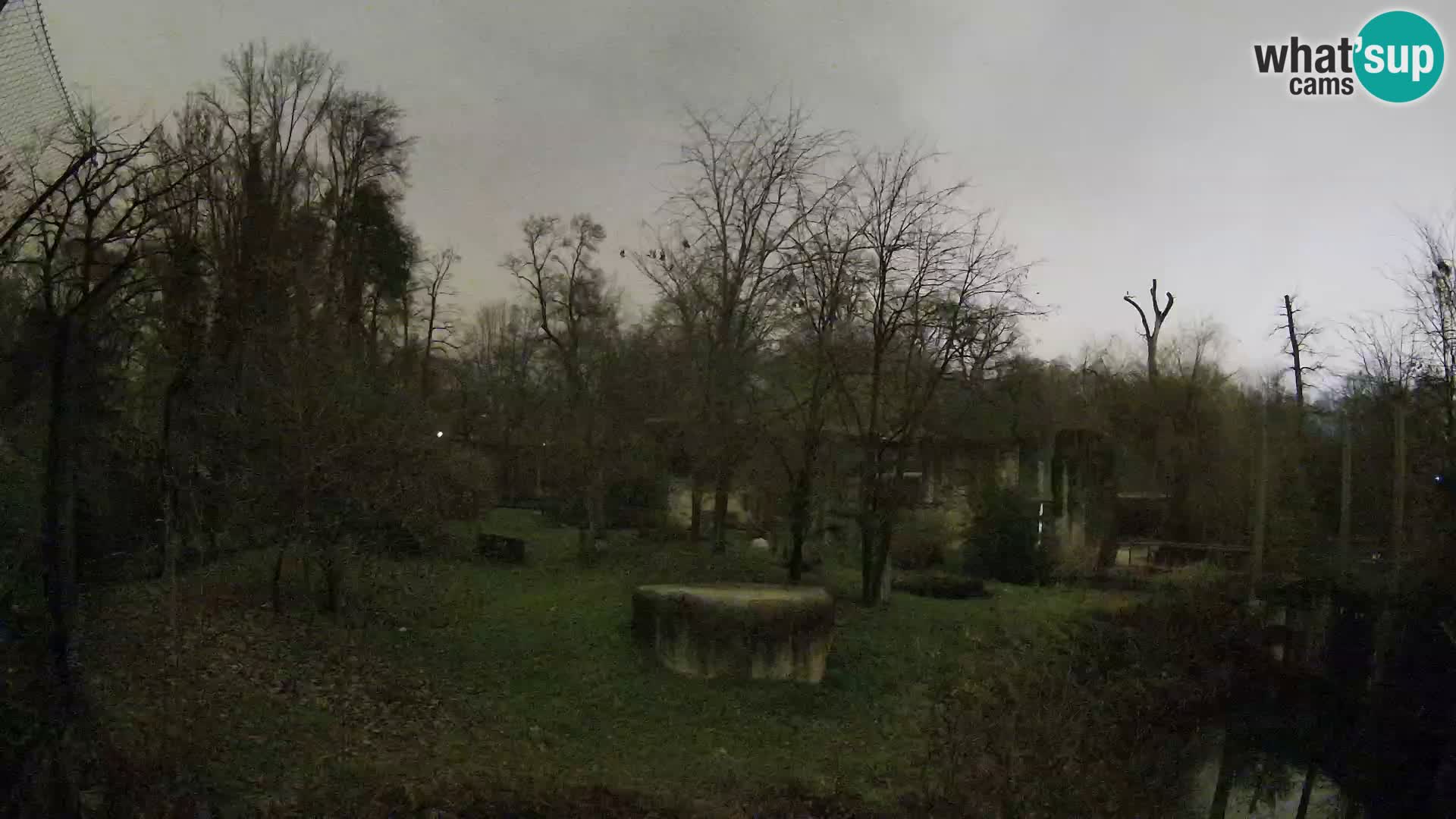 Zoo Zagreb – Leoni