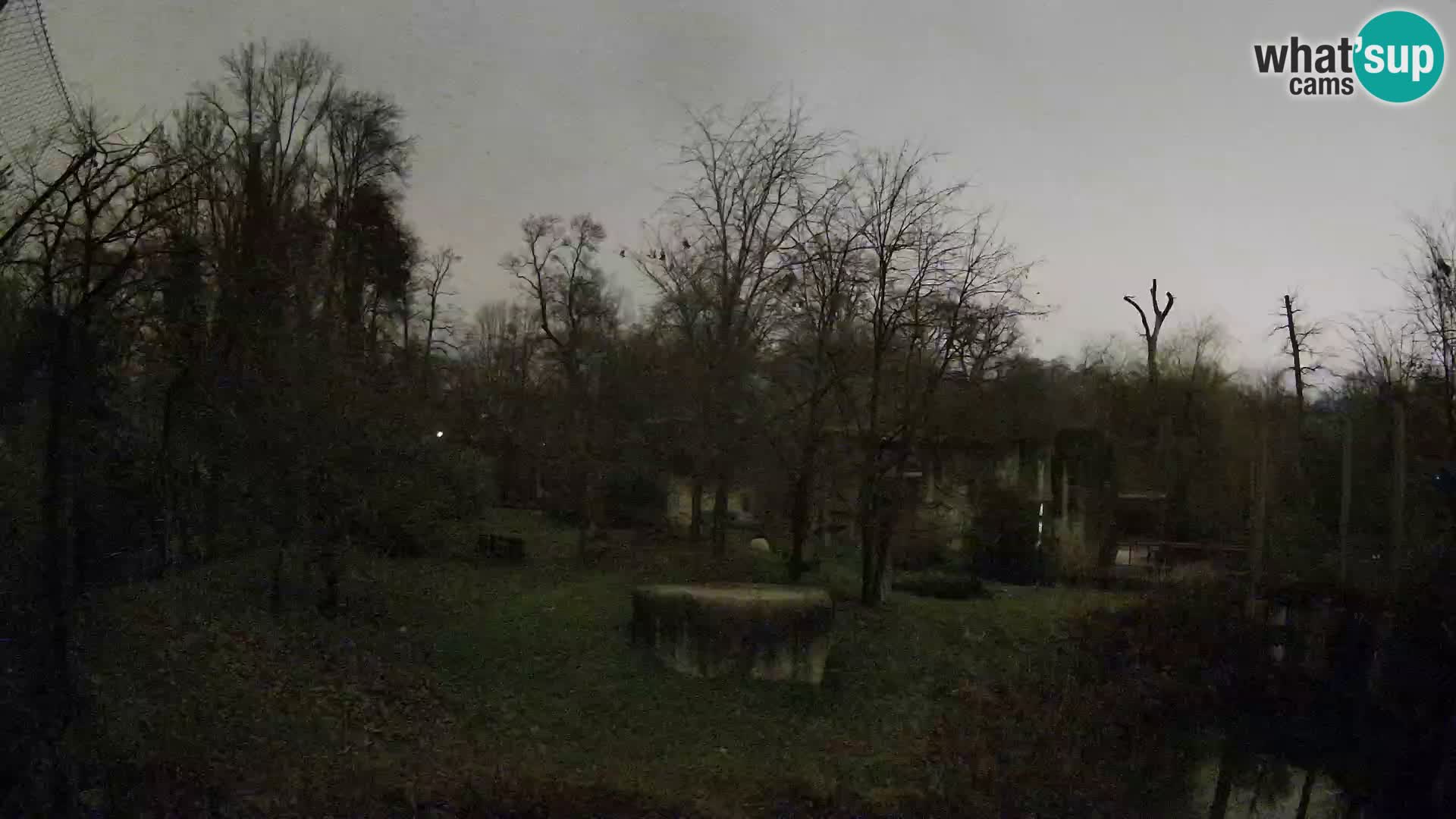 Zoo Zagreb – Löwen