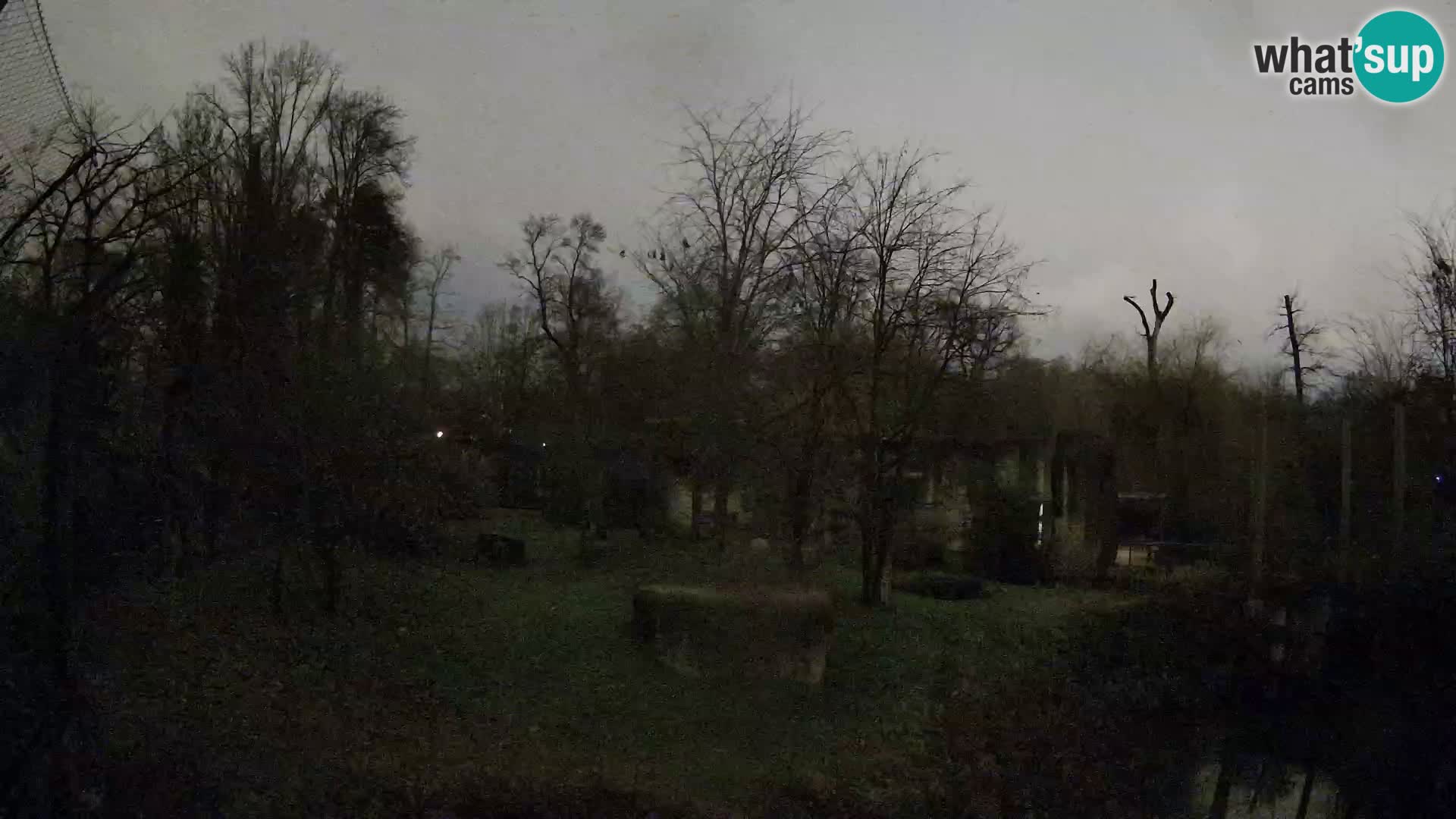 Zoo Zagreb – Leones