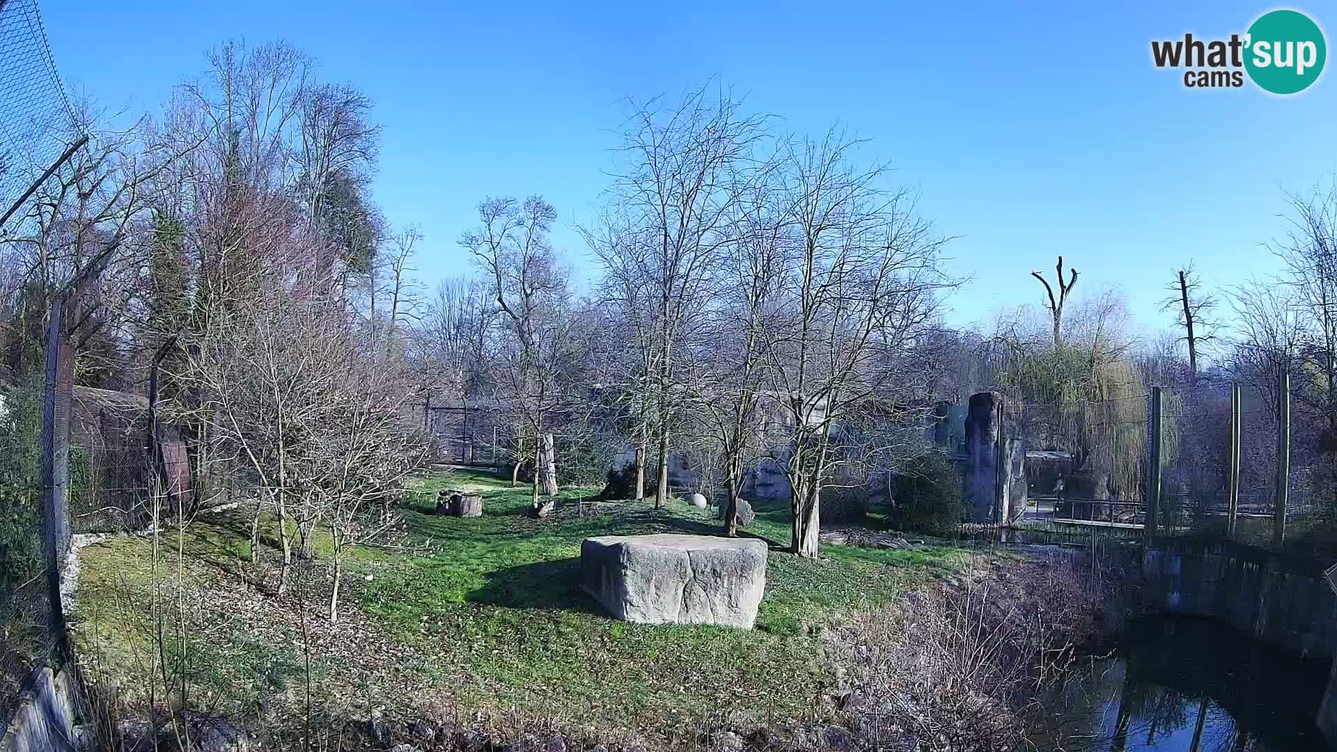 Zoo Zagreb – Leones