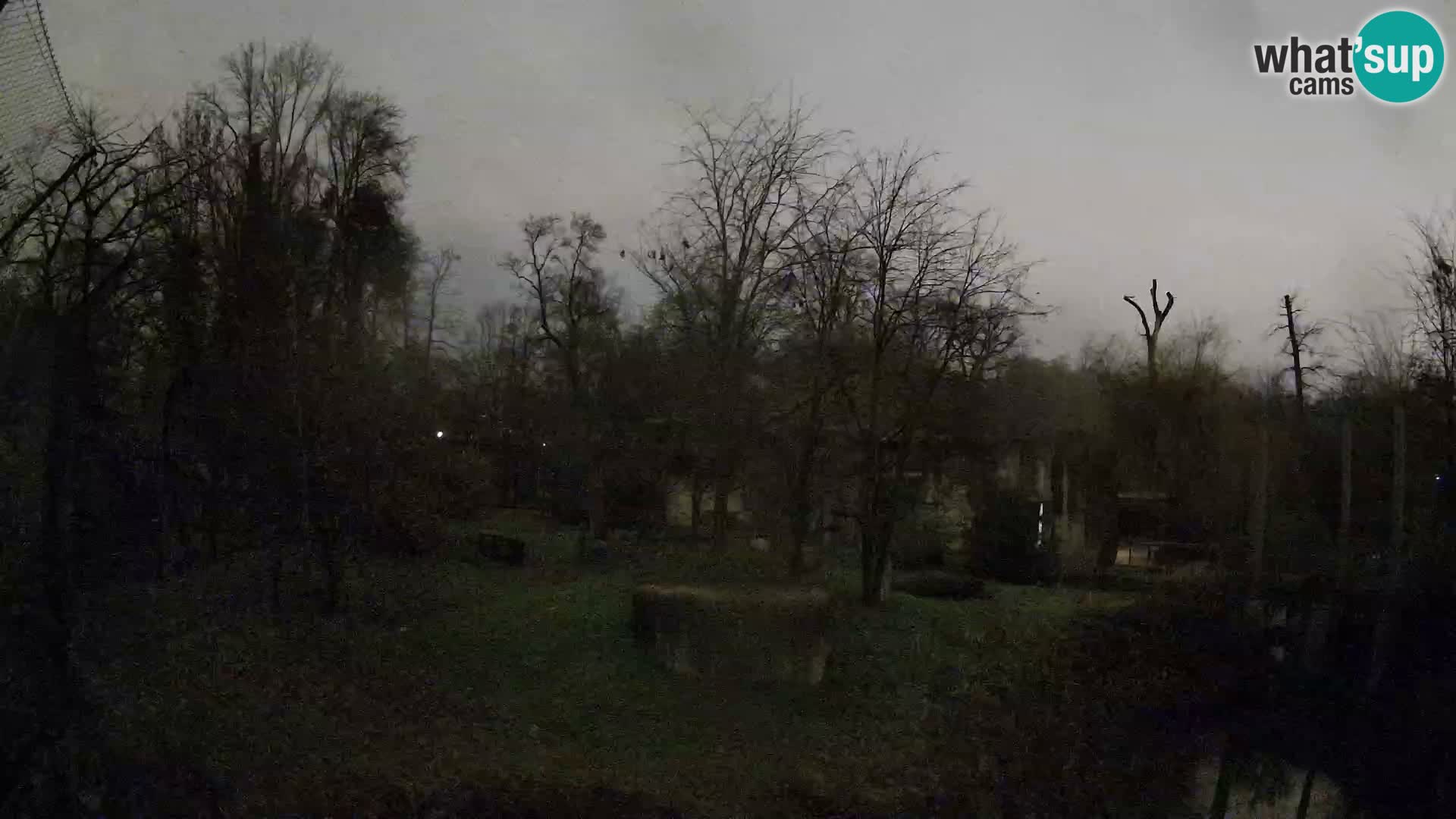 Zoo Zagreb – Löwen