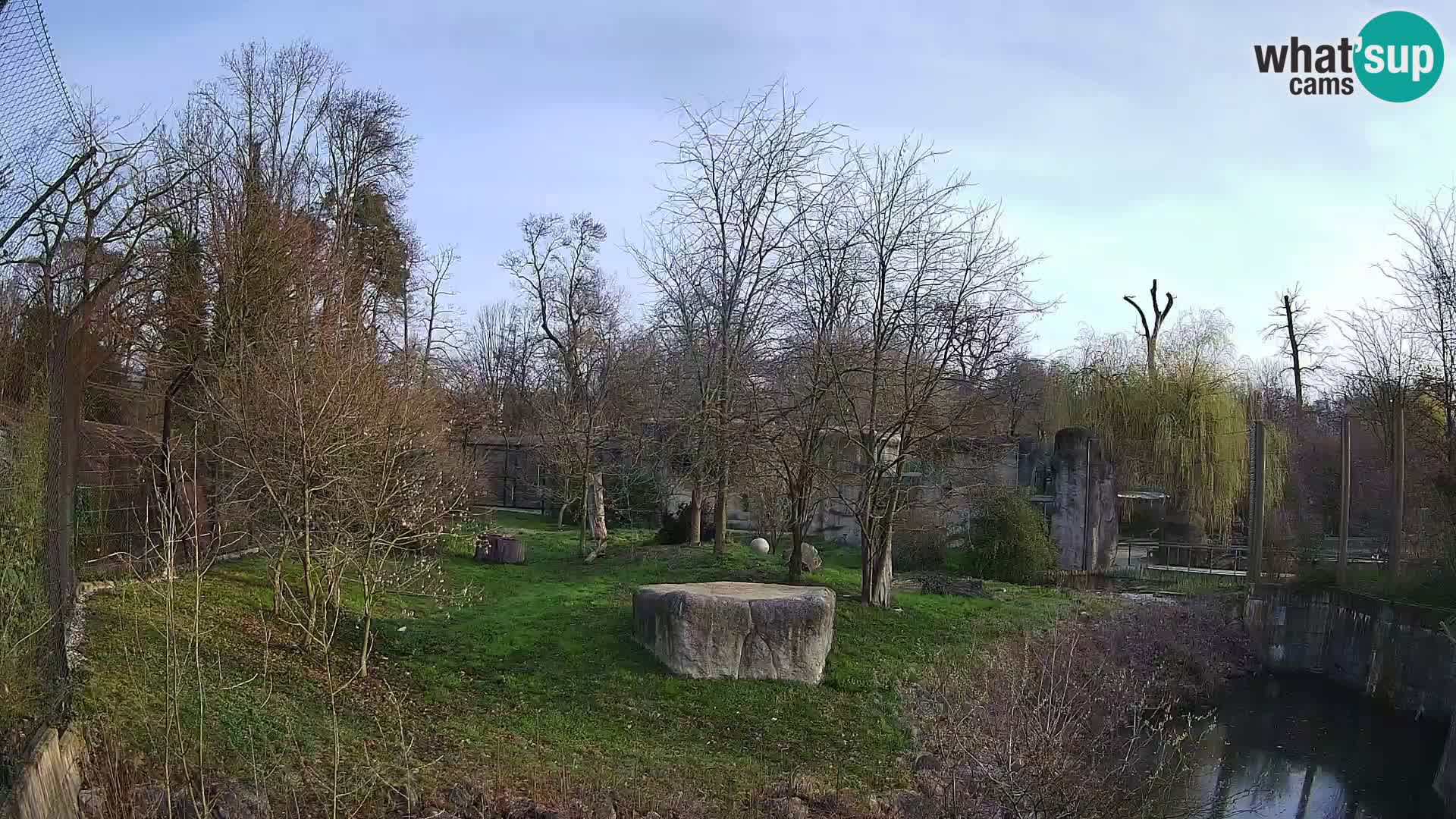 Zoo Zagreb – Löwen