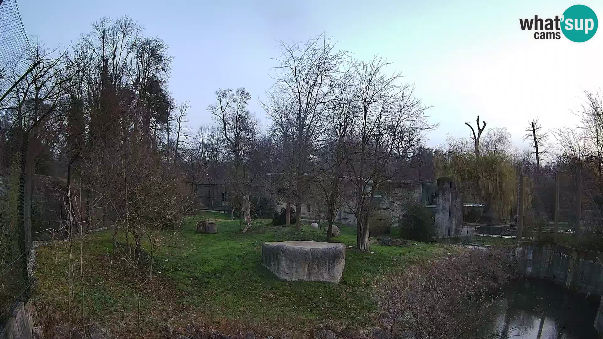 Zoo Zagreb – Lavovi