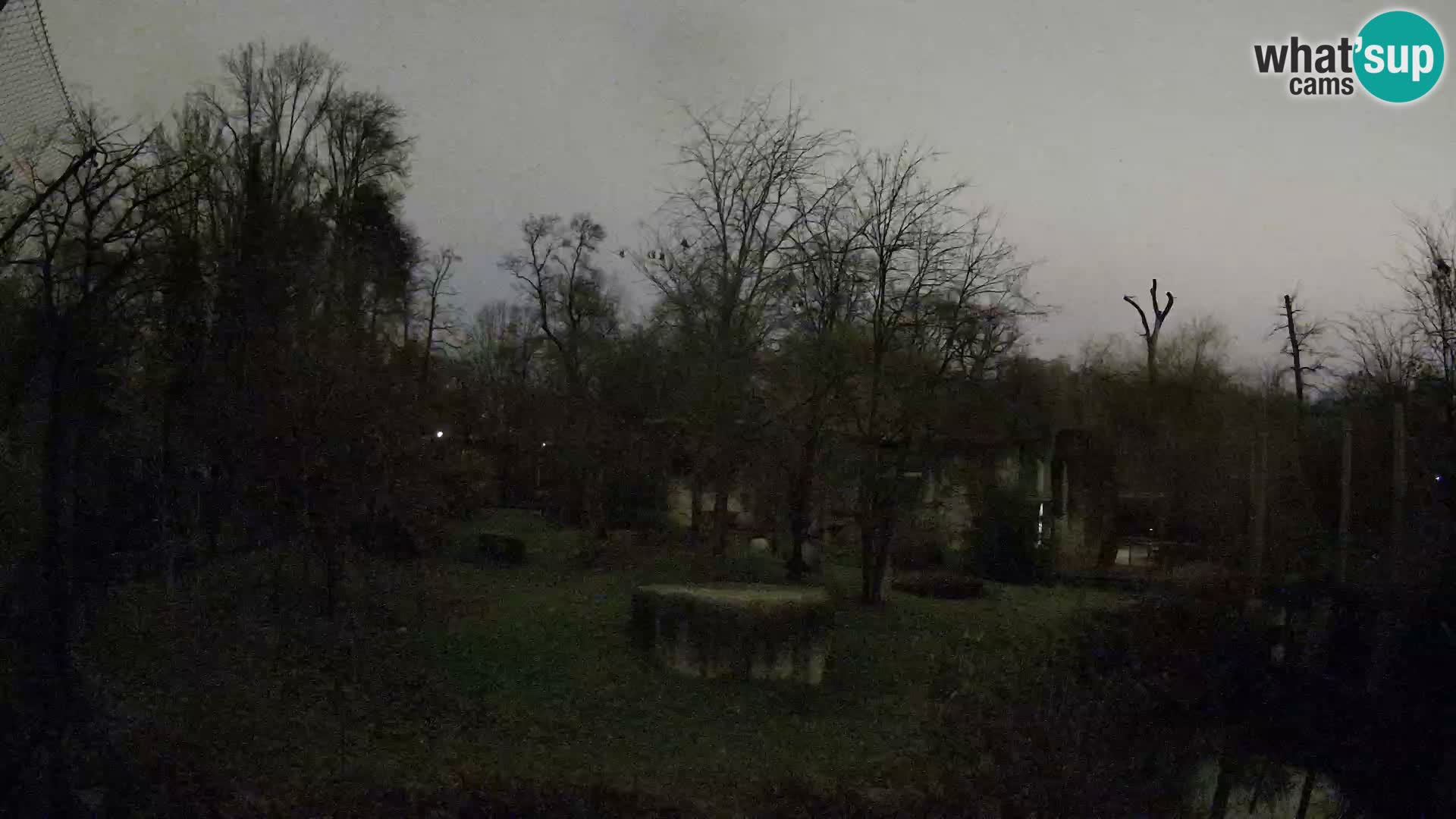 Zoo Zagreb – Löwen