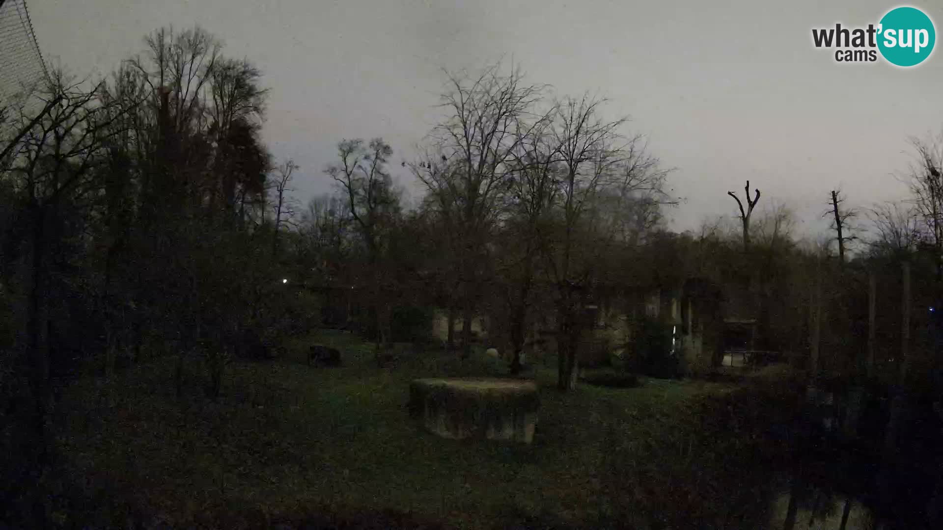 Zoo Zagreb – Leones