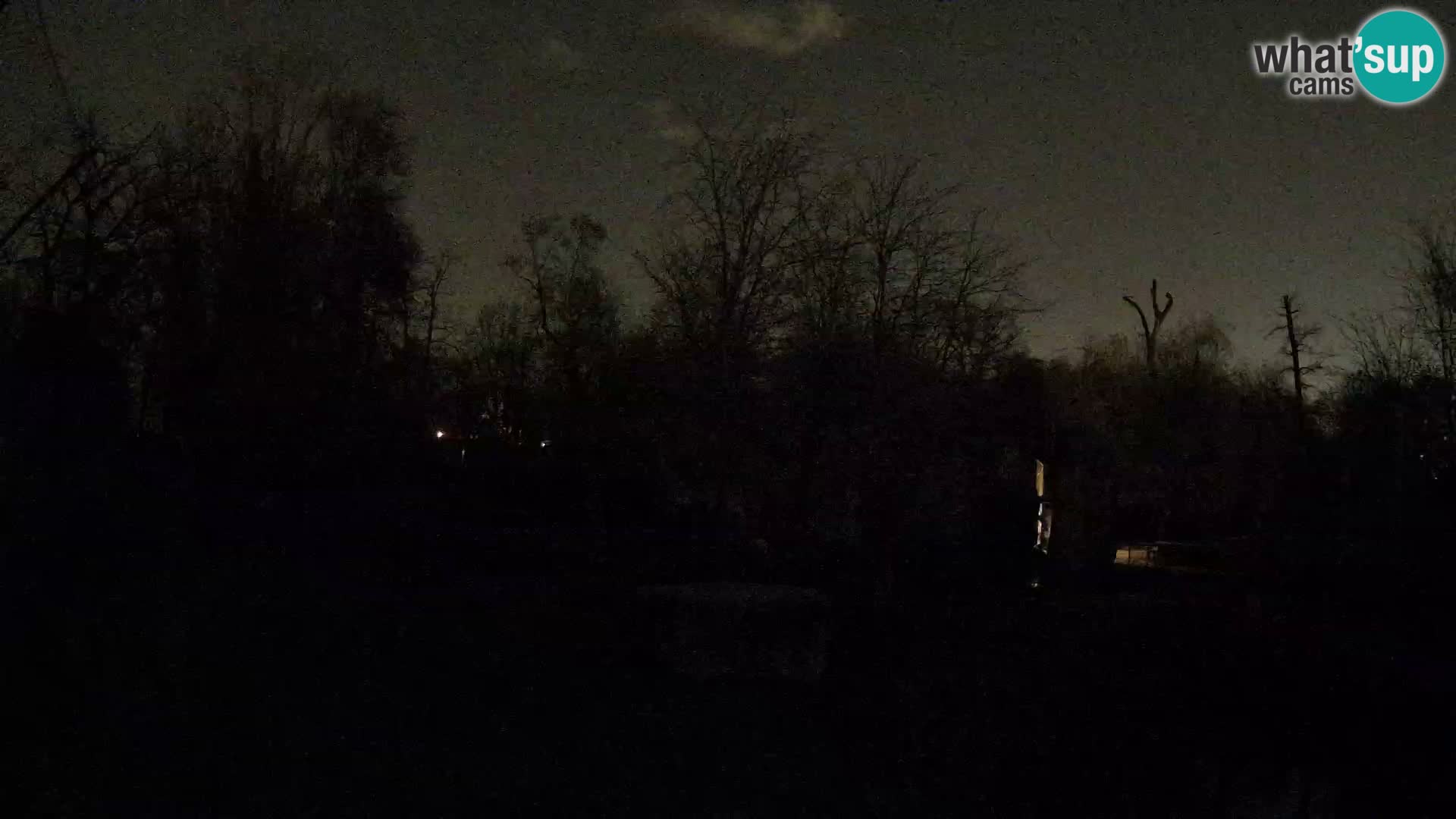 Spletna kamera Zoo Zagreb – Levi