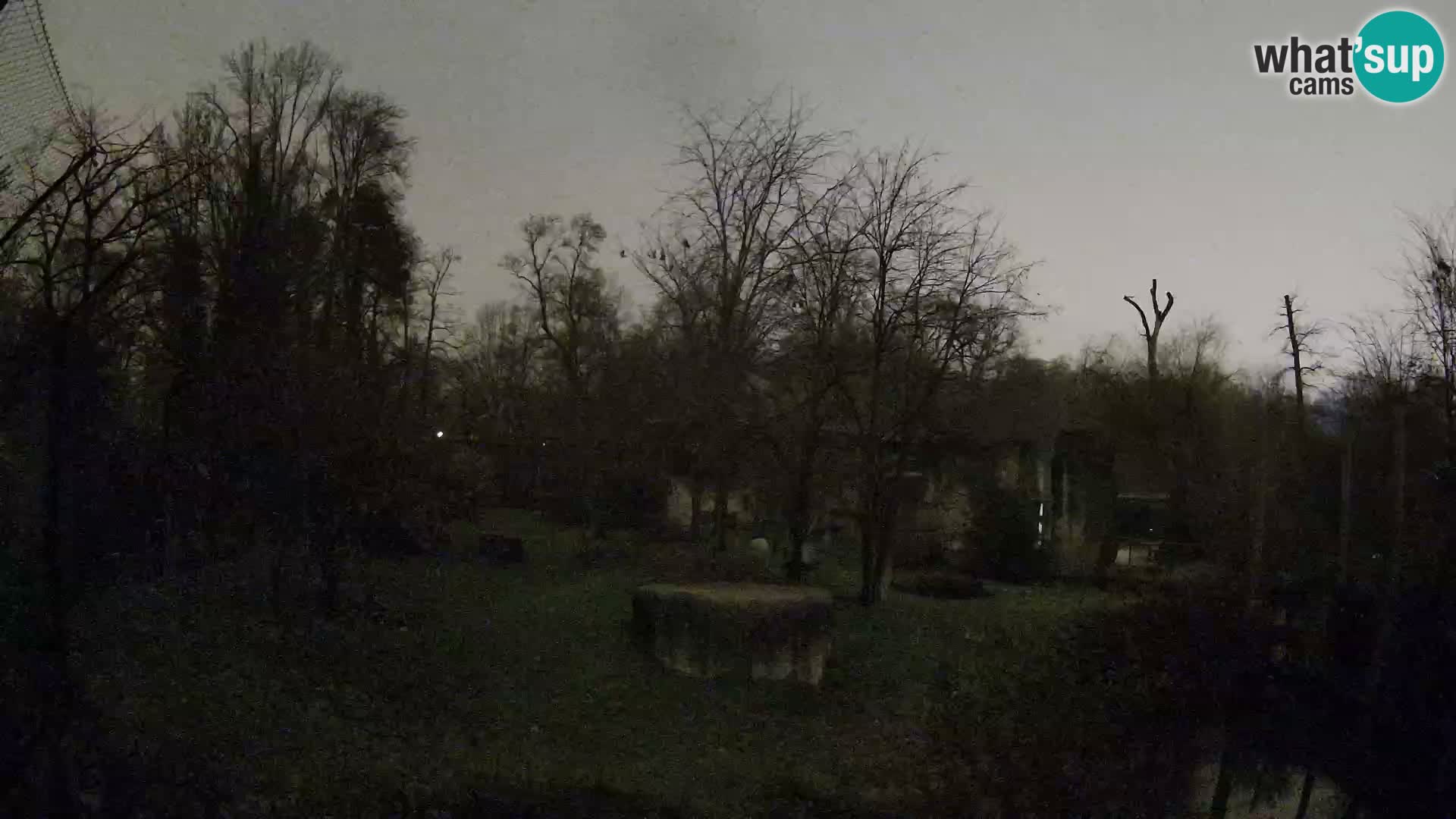 Zoo Zagreb – Löwen