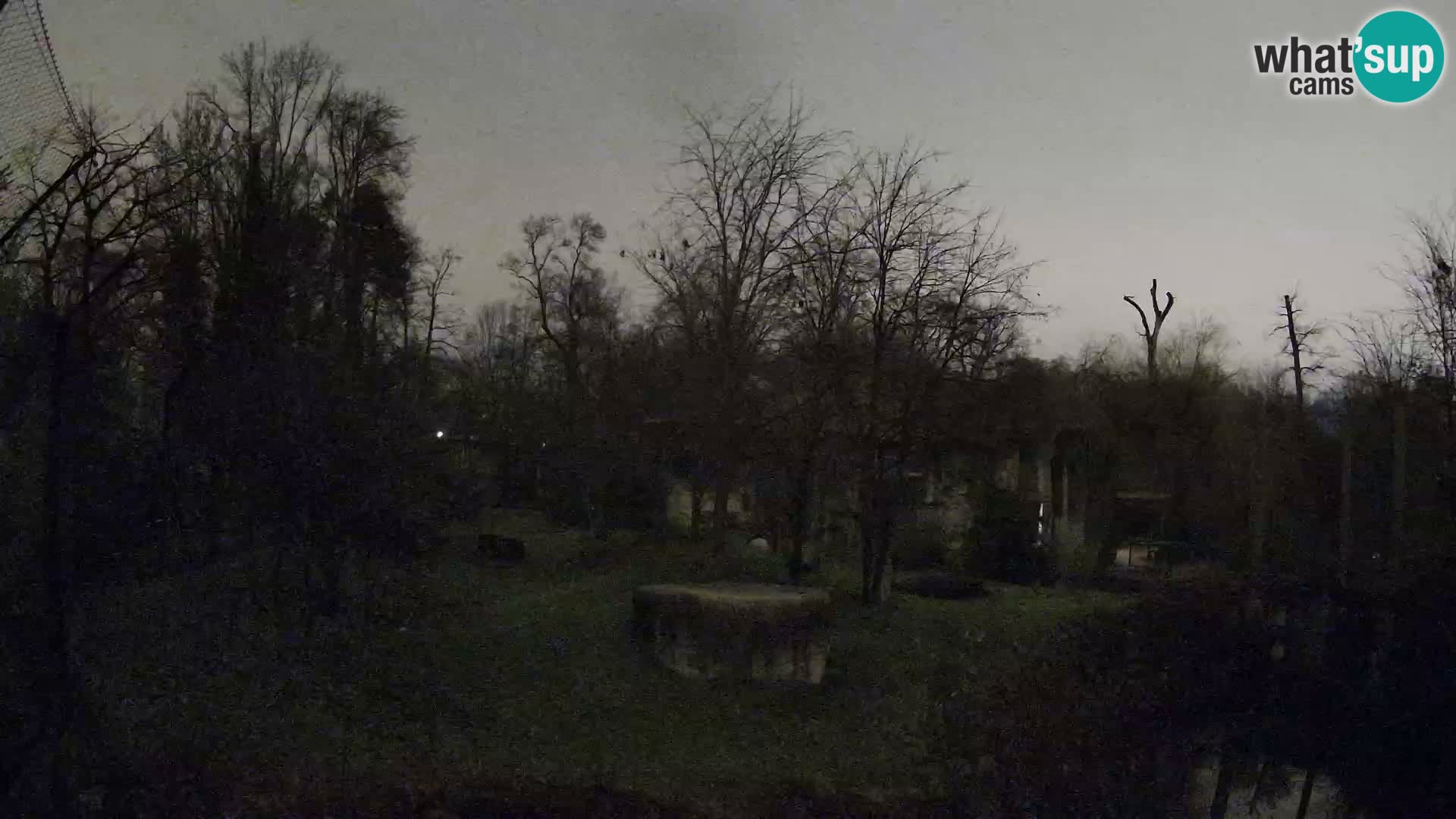 Zoo Zagreb – Löwen