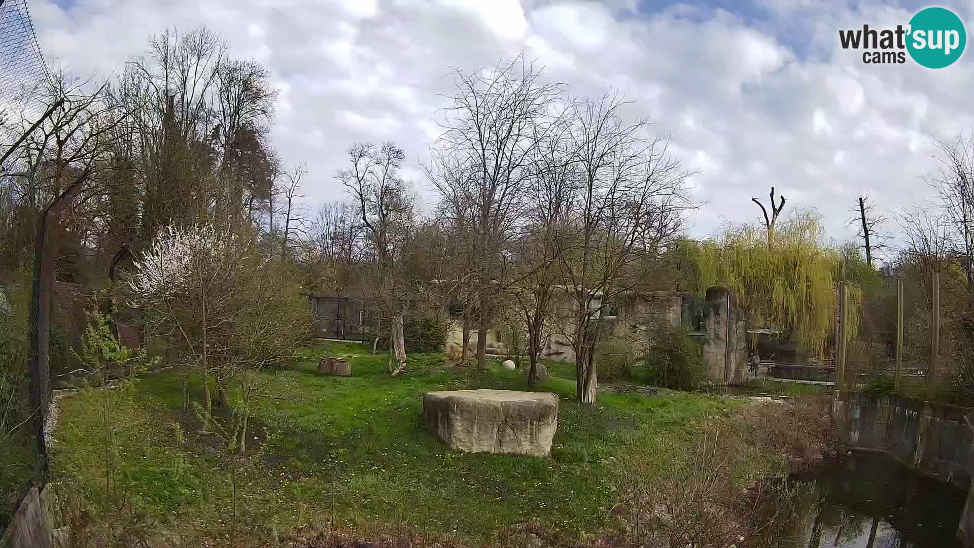 Zoo Zagreb – Löwen