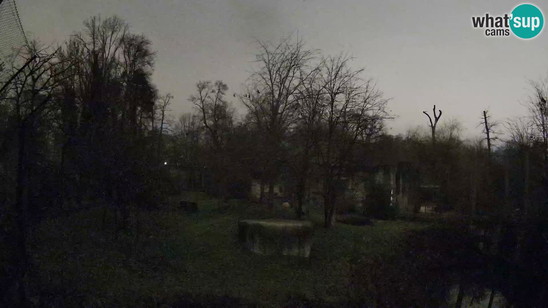 Zoo Zagreb – Löwen