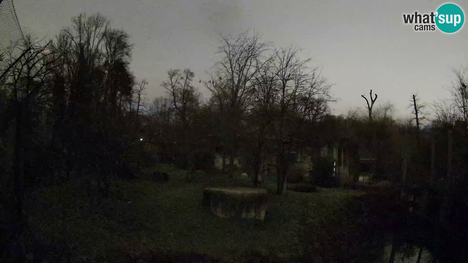 Zoo Zagreb – Löwen