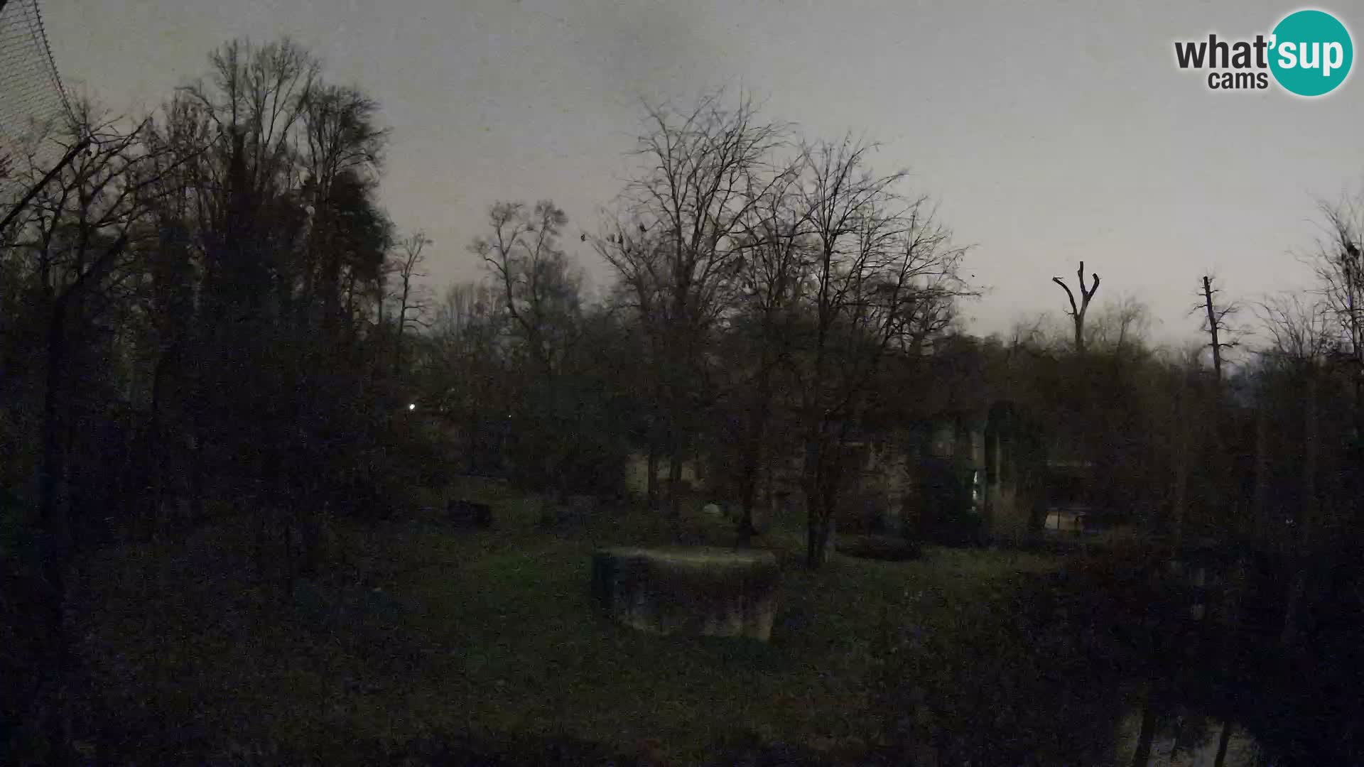 Zoo Zagreb – Löwen