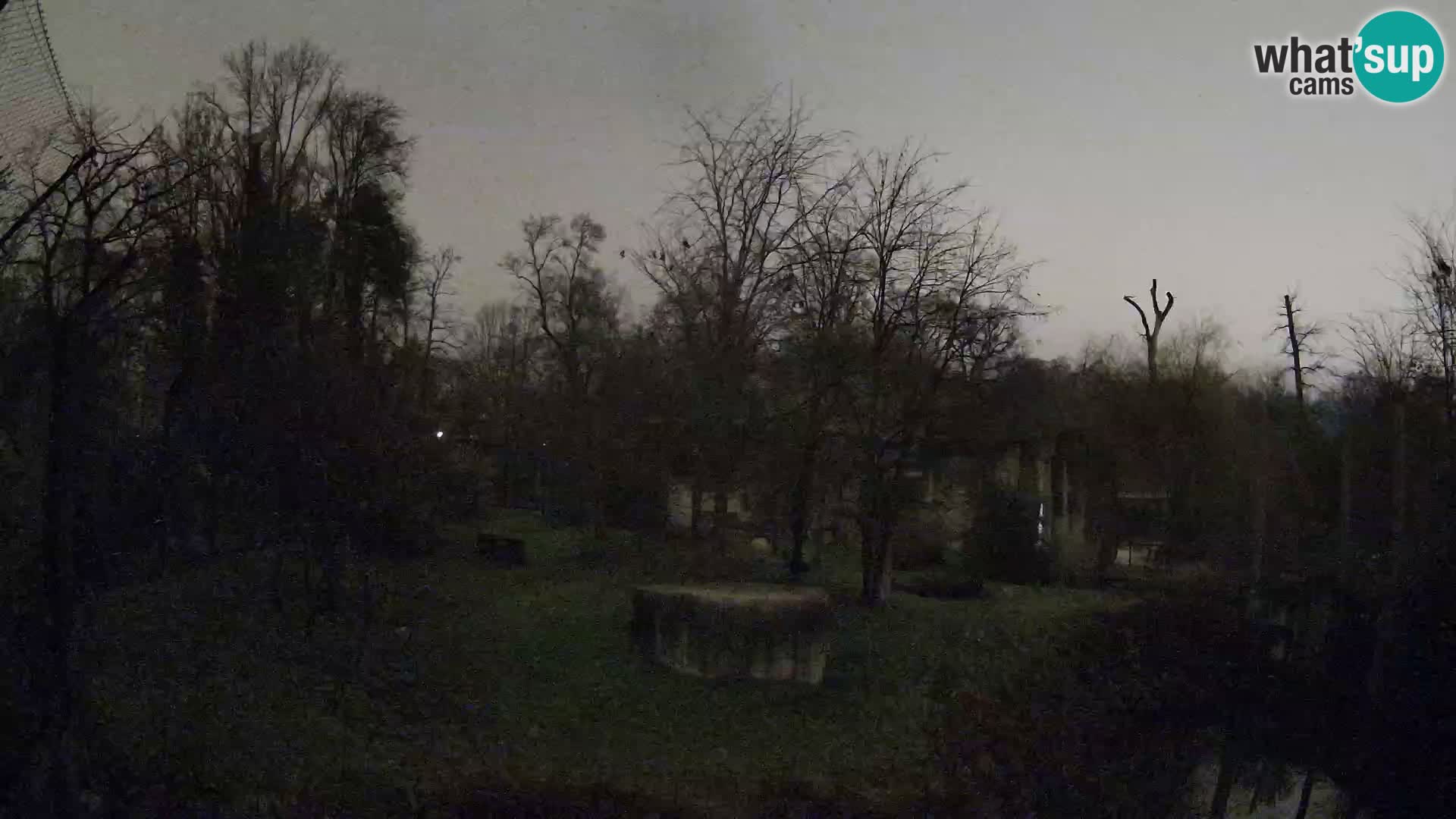 Zoo Zagreb – Löwen