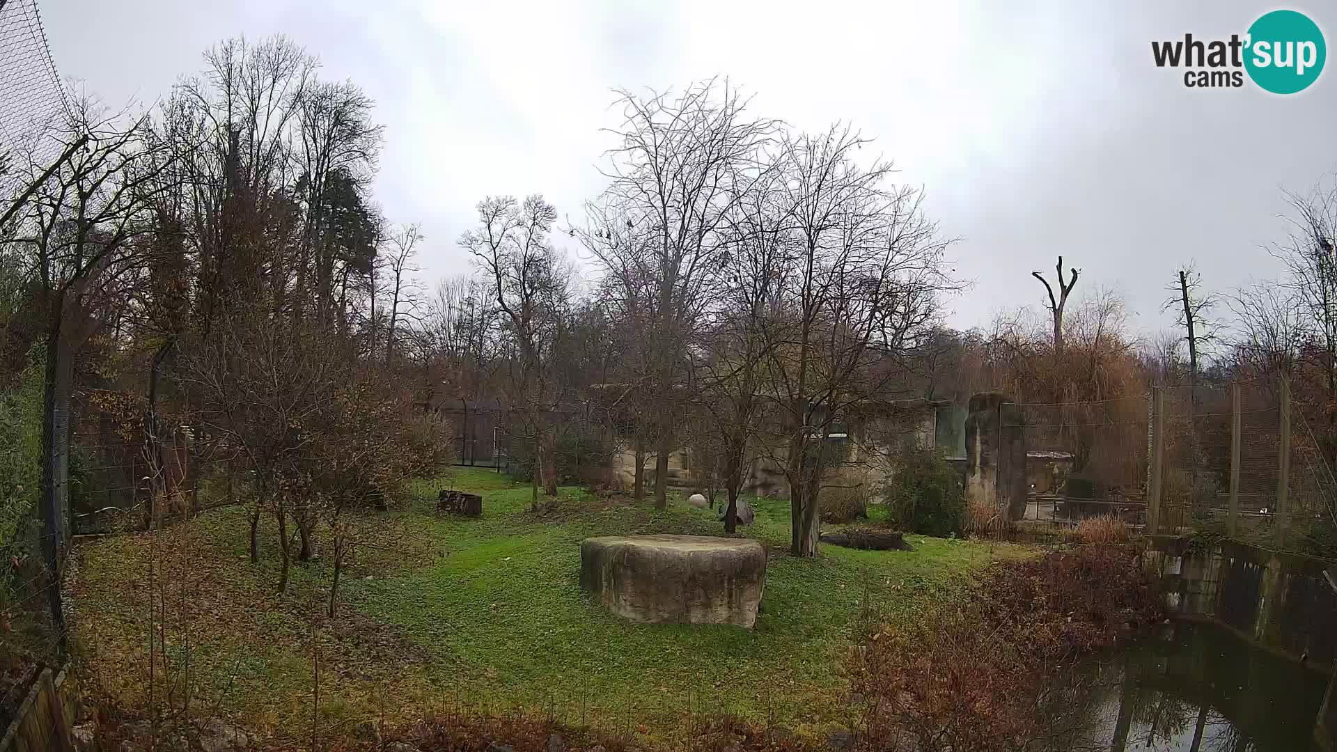 Zoo Zagreb – Löwen