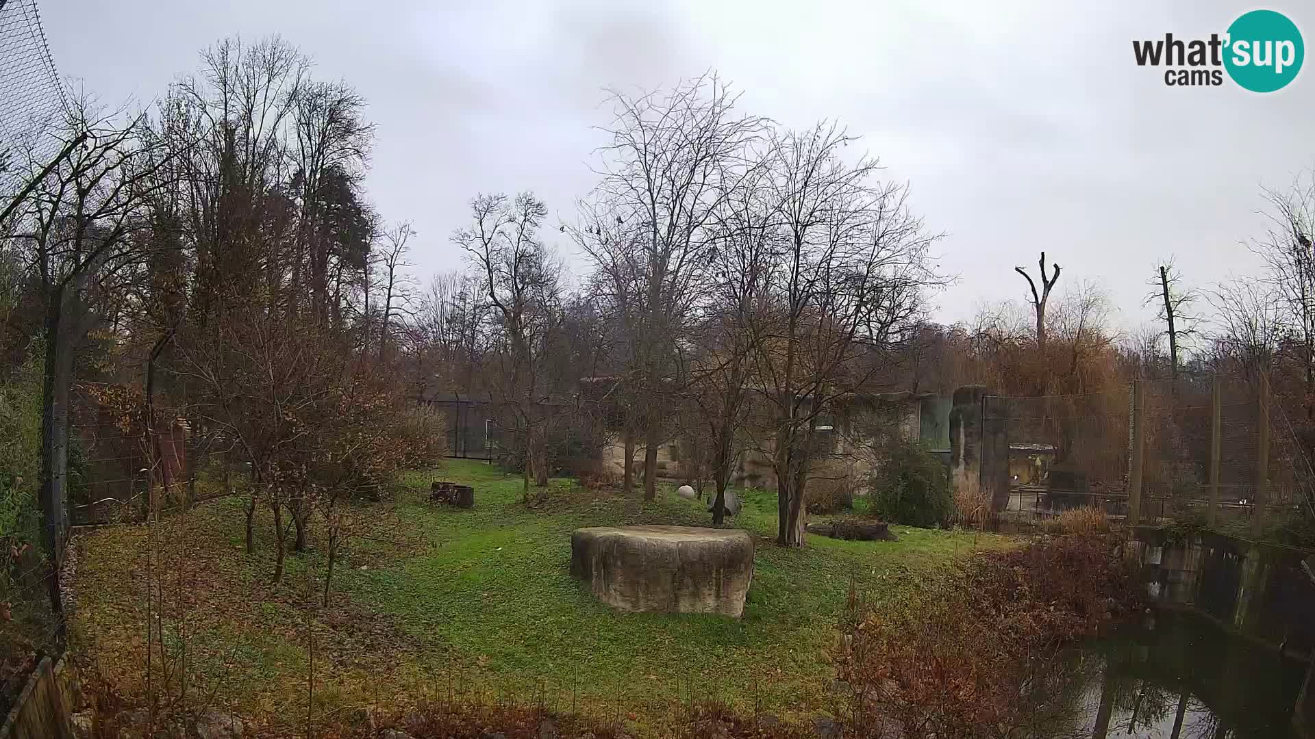 Zoo Zagreb – Leones