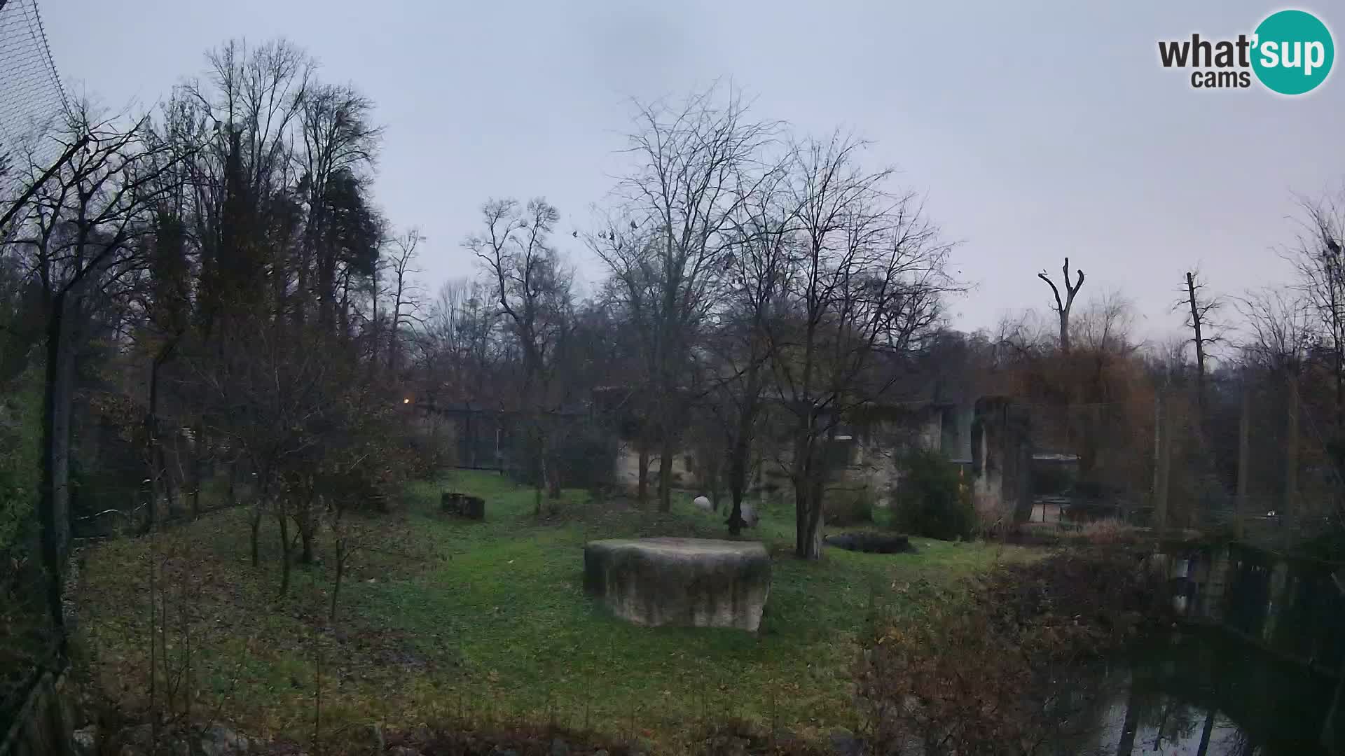 Zoo Zagreb – Löwen