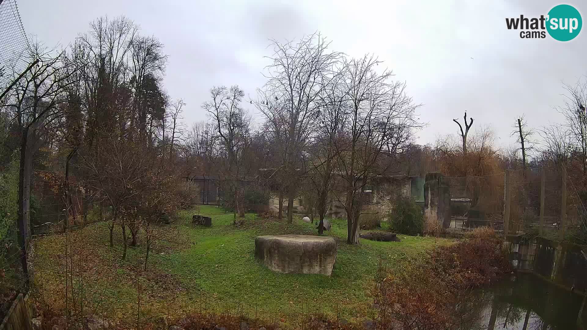 Zoo Zagreb – Löwen