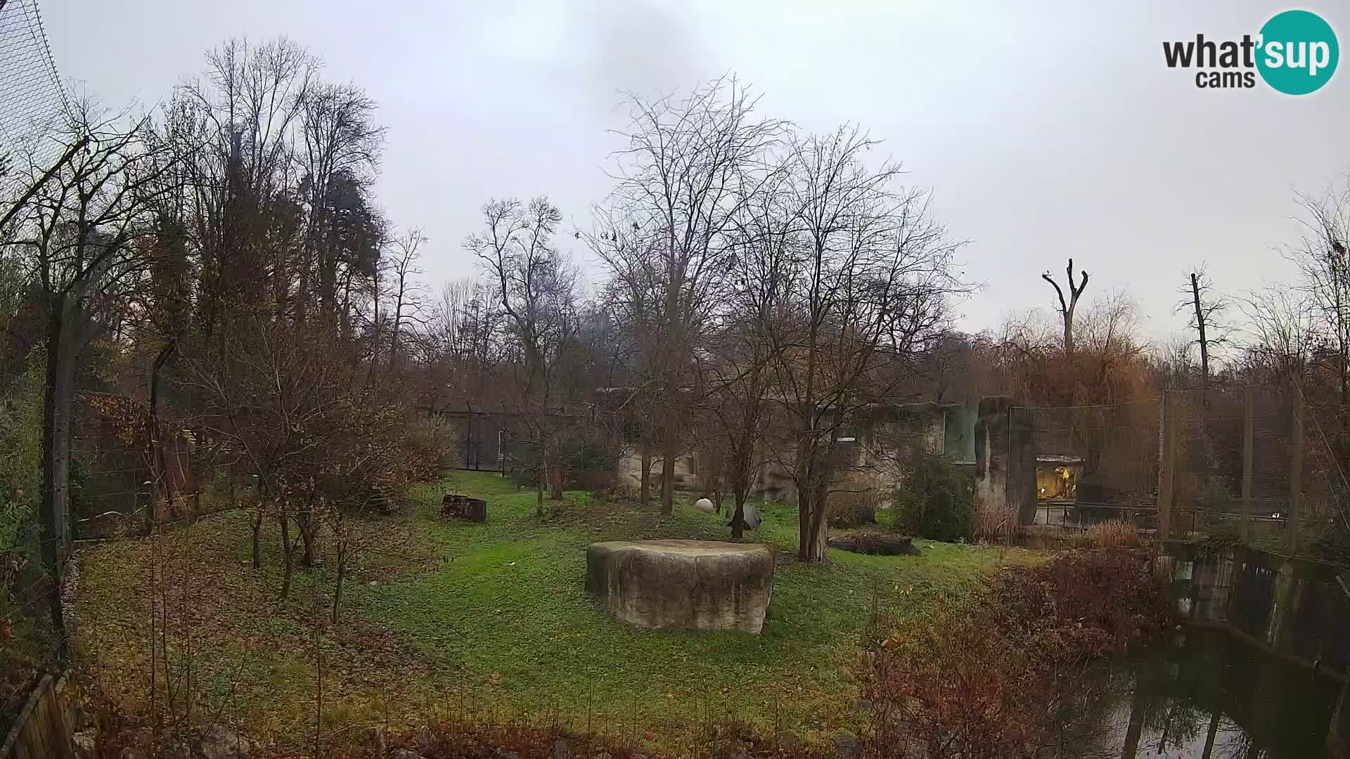 Zoo Zagreb – Leones