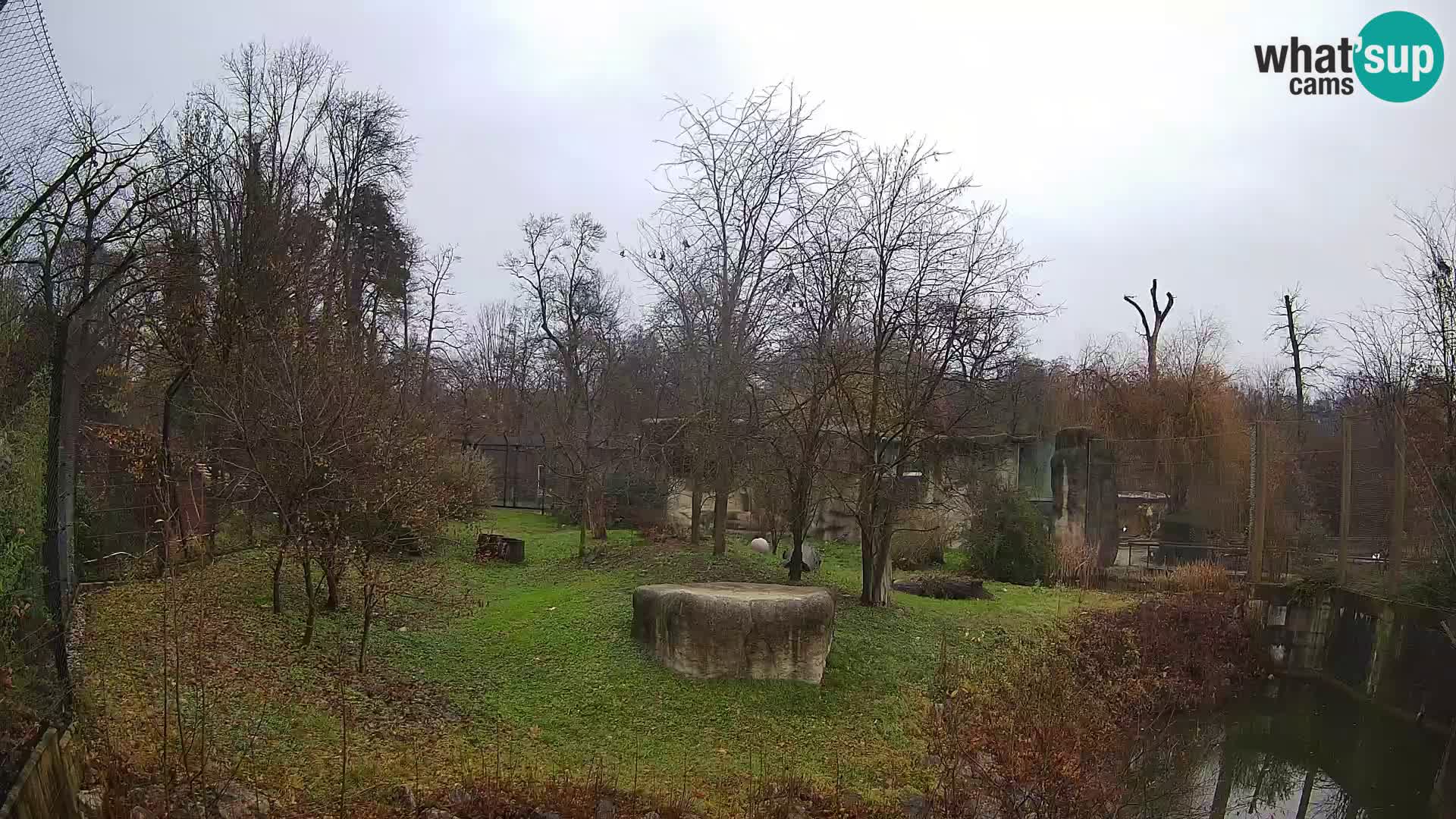 Zoo Zagreb – Leones